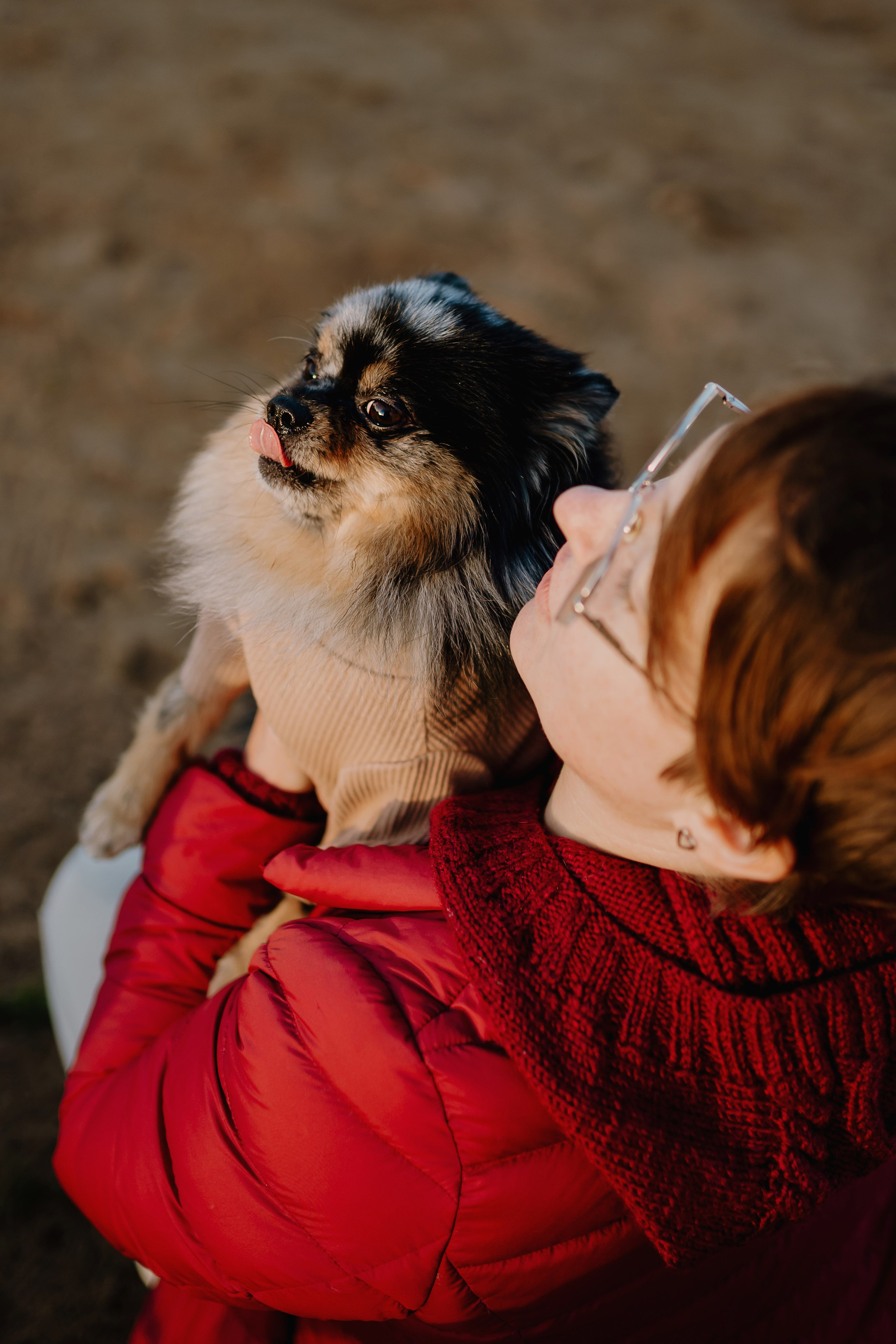 Семейная фотосессия с двумя собаками на закате. Фотограф анималист в Спб недорого Олеся Майорова