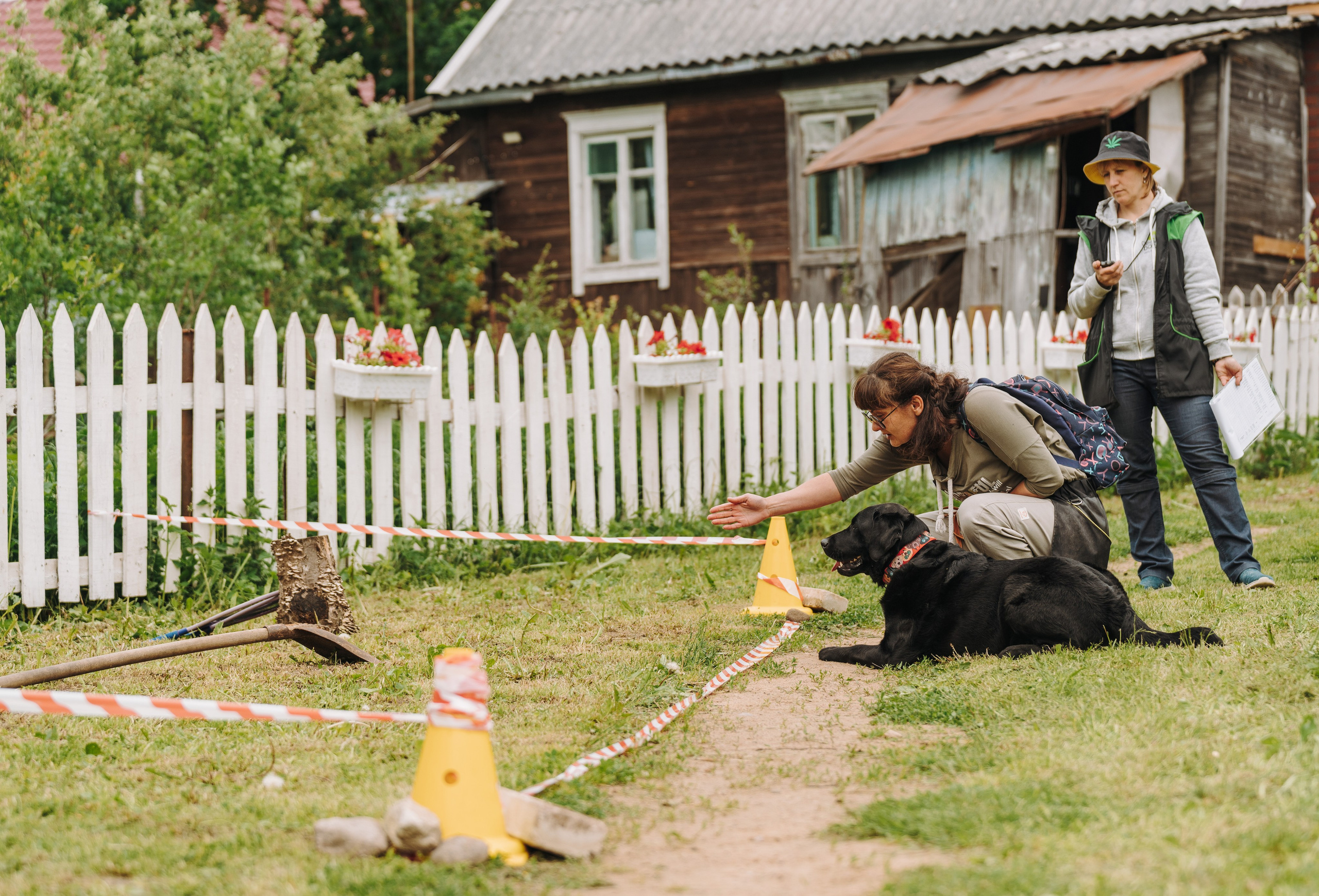 Соревнования по ноузворку. Фотограф анималист в Спб недорого Олеся Майорова