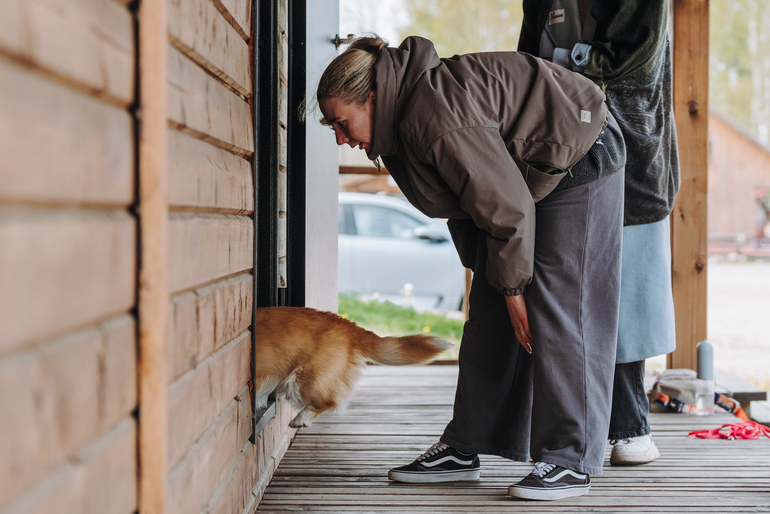 Соревнования по ноузворку в Лосево. Фотограф анималист в Спб недорого Олеся Майорова