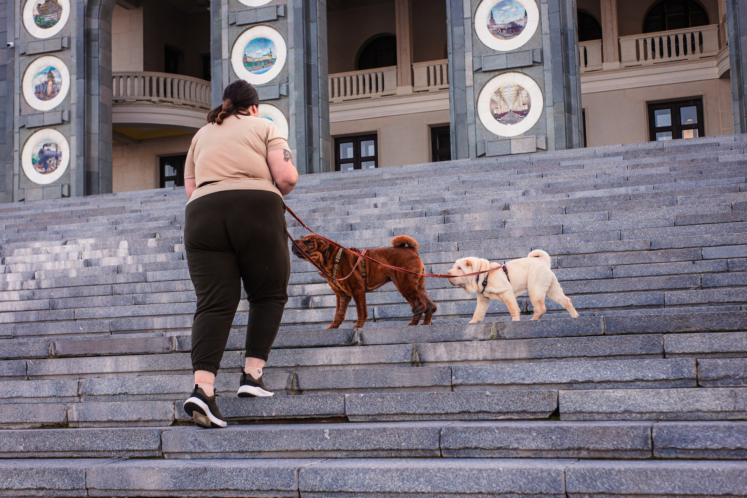 Алёна, Лагерта и Зефир. Фотограф-анималист Мария Баркевич | Москва