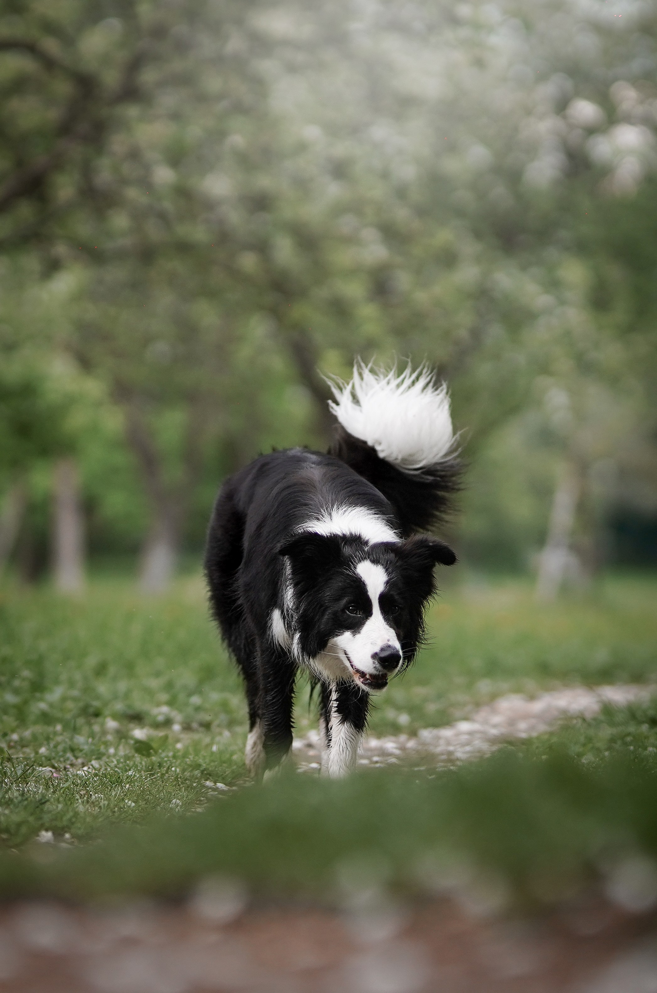 Юля, ее мама и Груша. Фотограф-анималист в Санкт-Петербурге Яна Мартынова