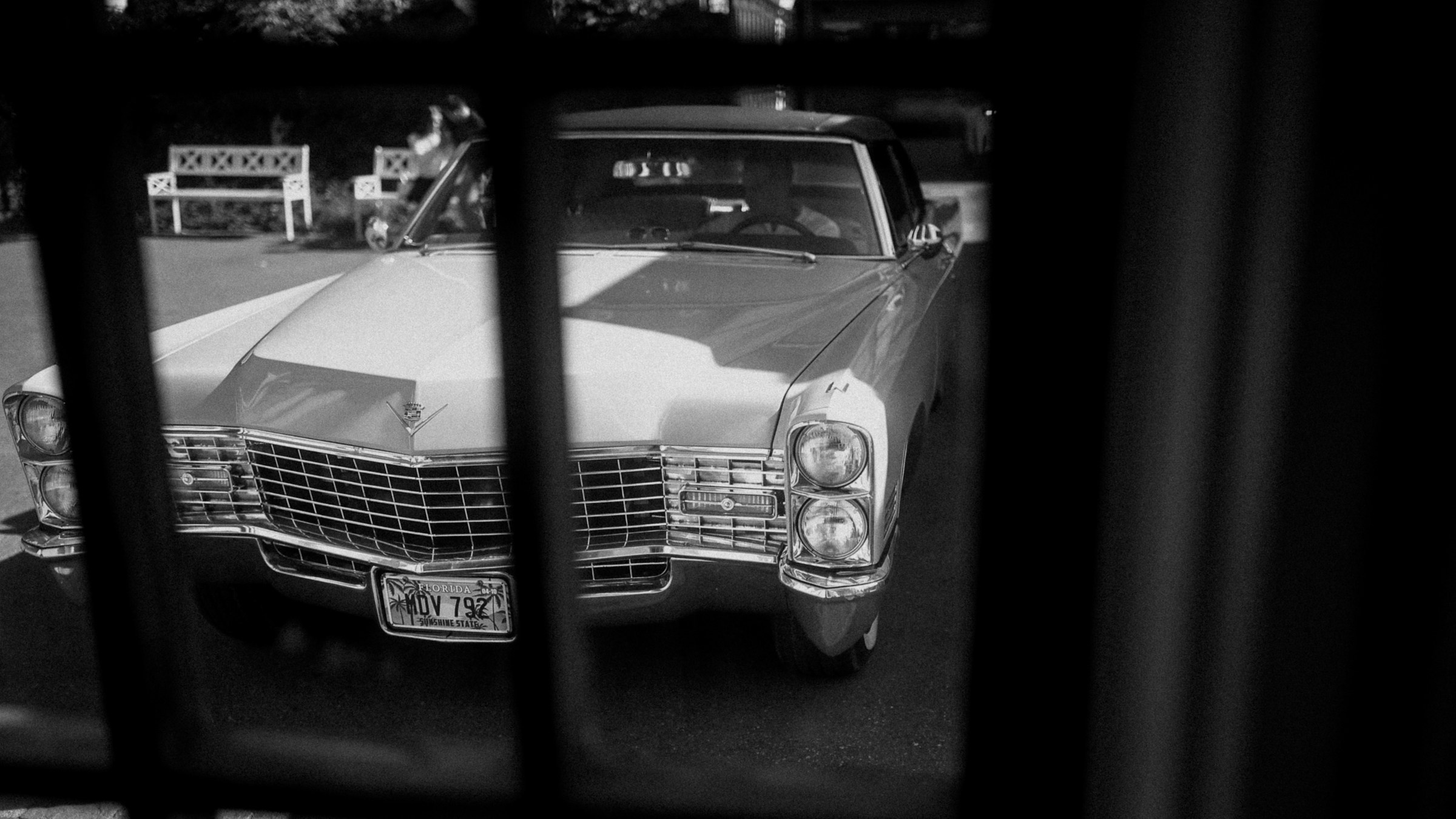 Шок • серия собирается'25. Свадебный и семейный фотограф Москва, Спб, Крым Игорь Сазонов