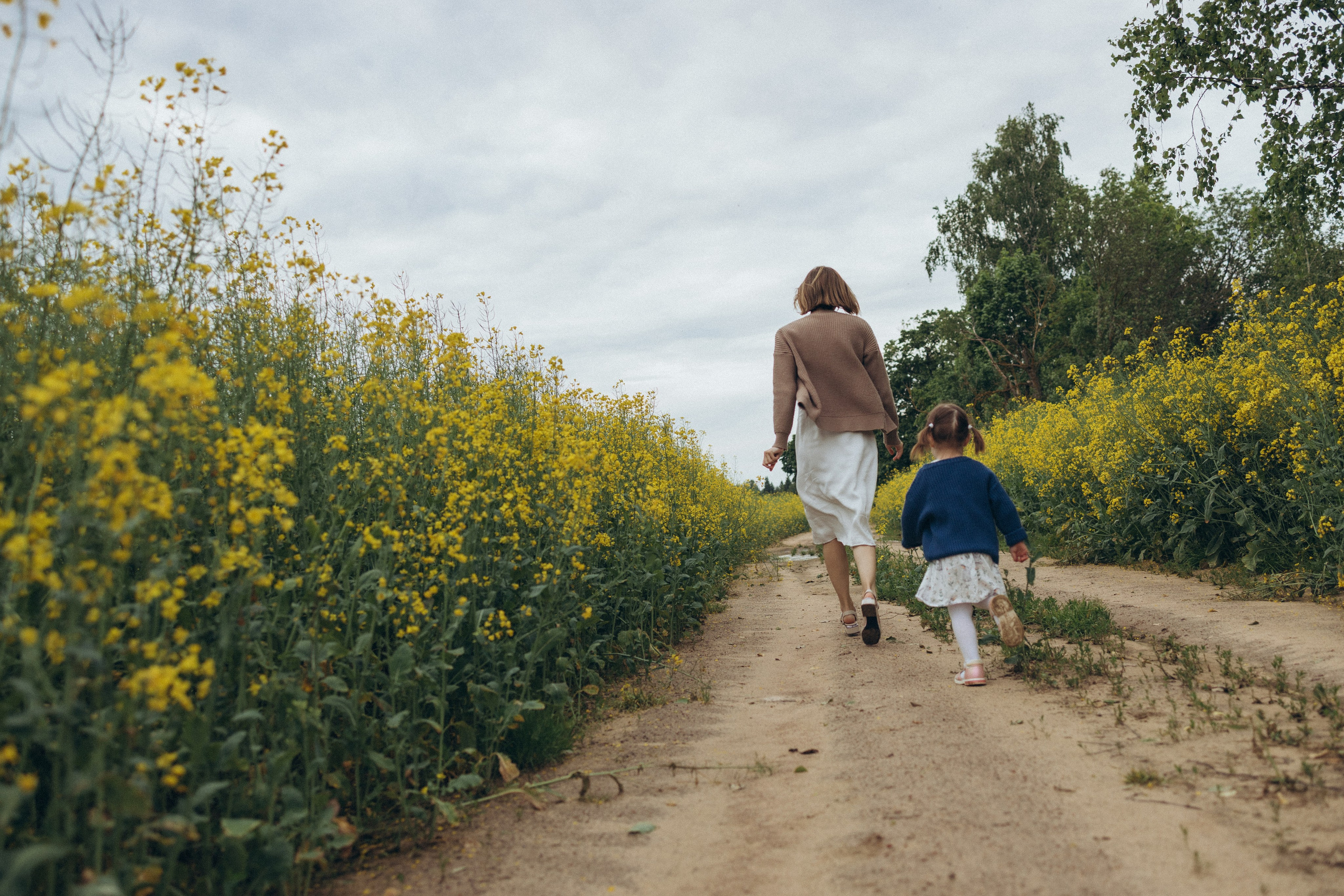После дождя. Фотограф Елена Рябцева