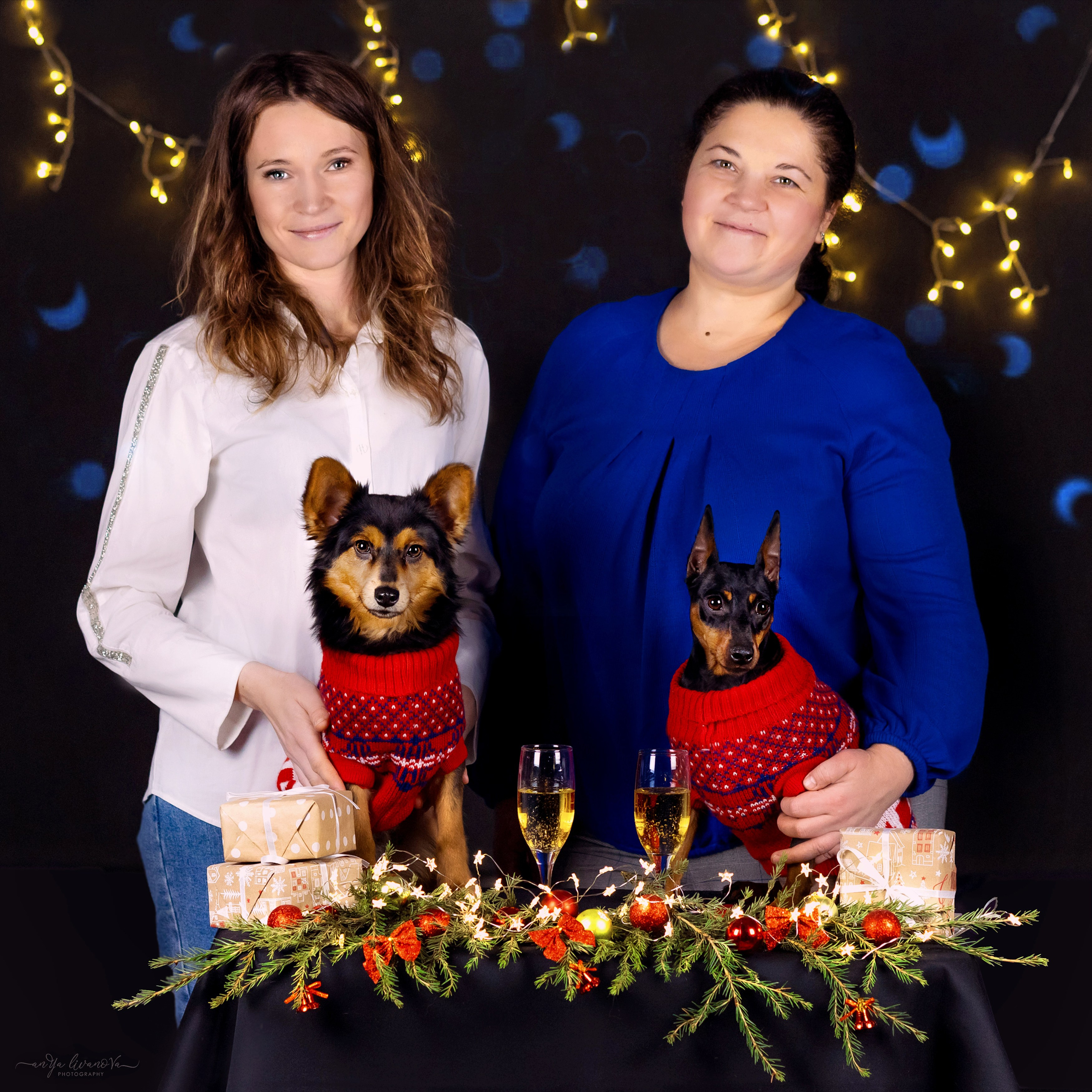 Новогодняя атмосфера в «Simply the Best». Фотограф анималист Аня Ливанова | Рыбинск