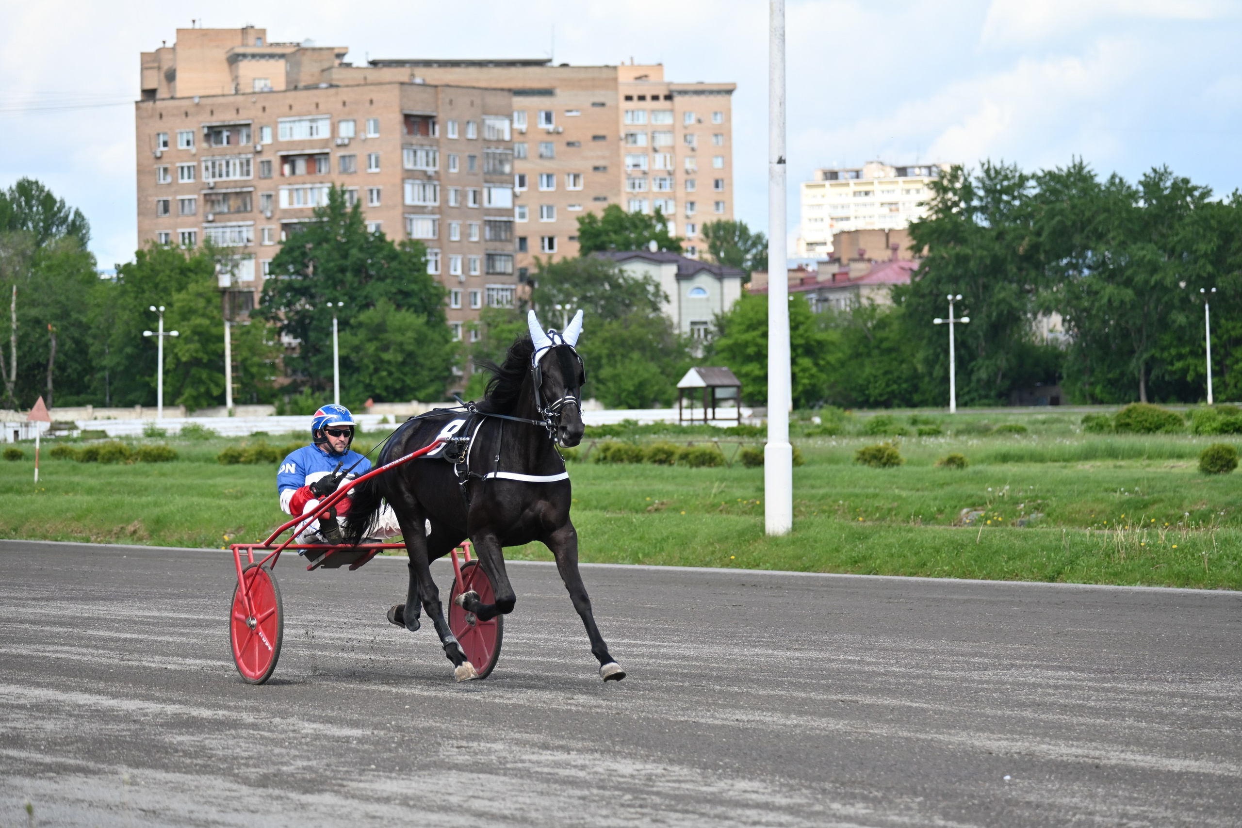 Московский ипподром. Fotolux