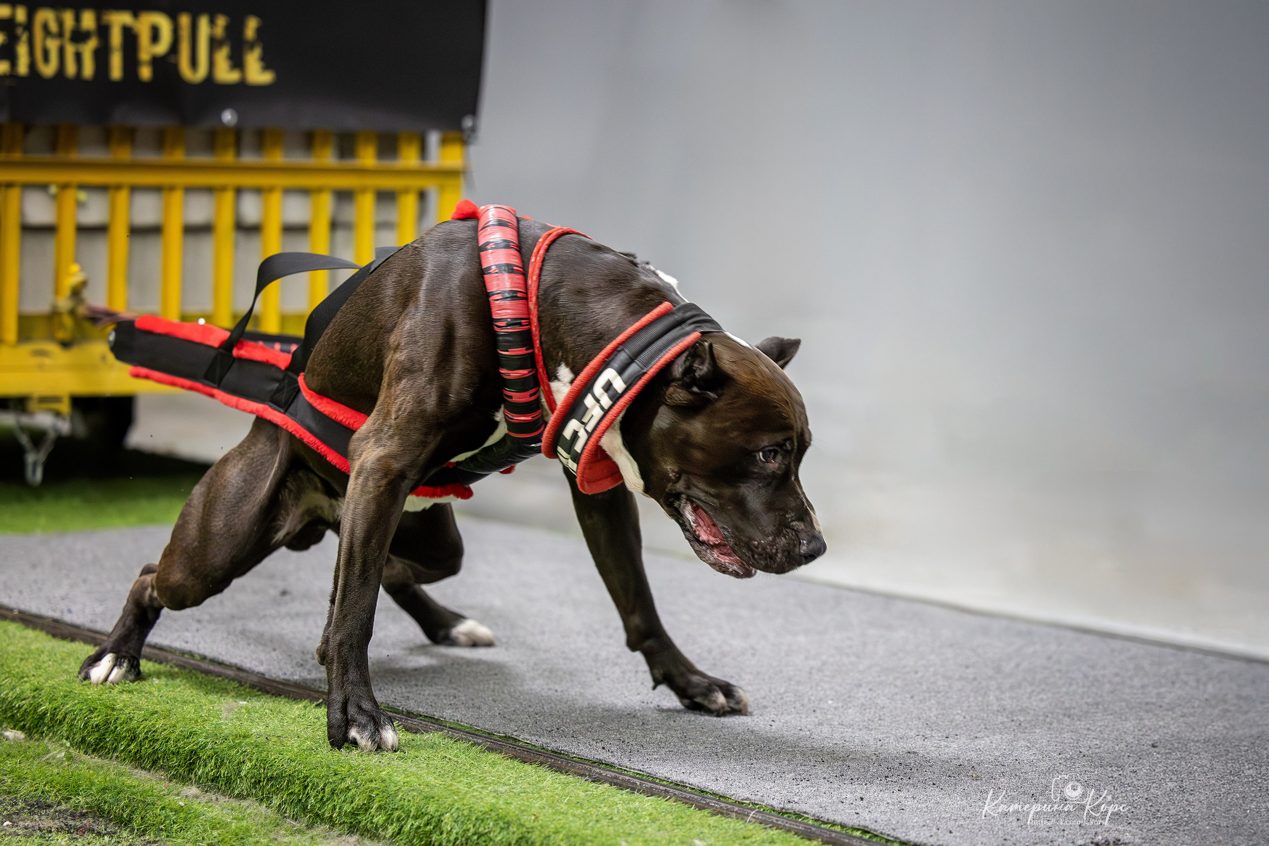 Спорт. Главная