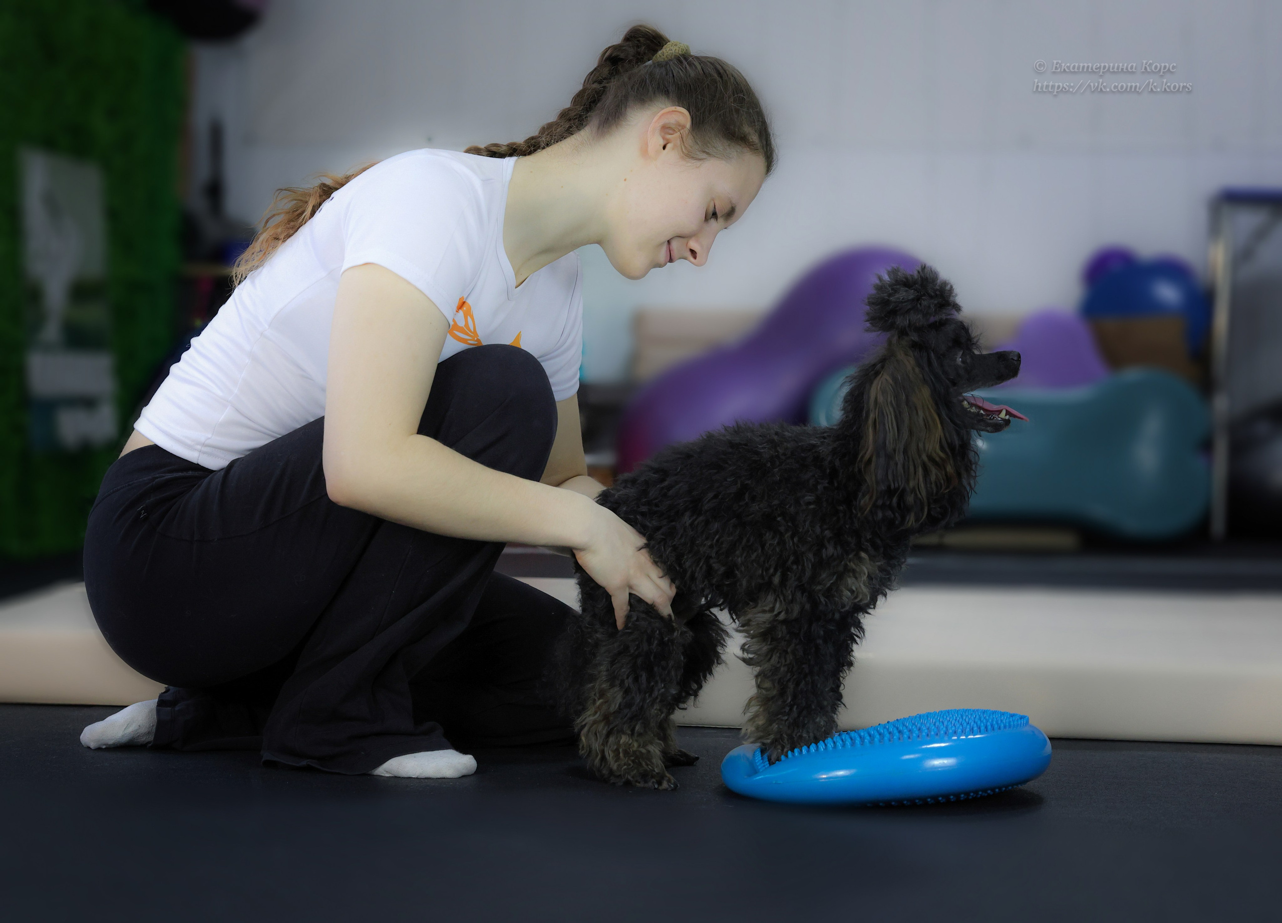 Собаки и люди. Главная