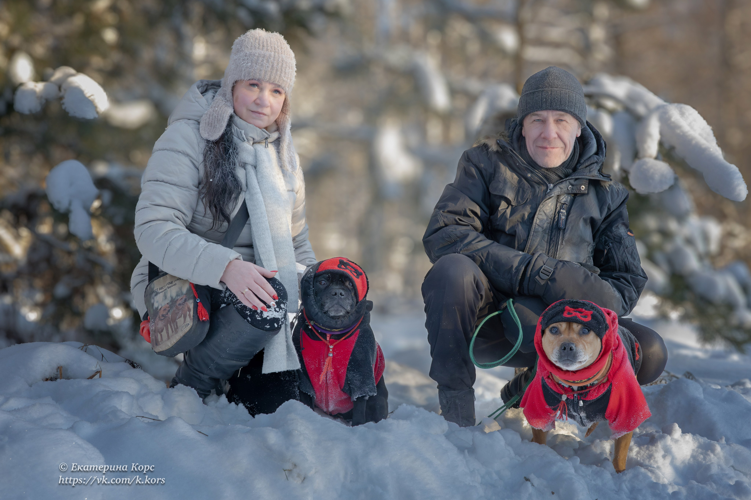 Собаки и люди. Главная