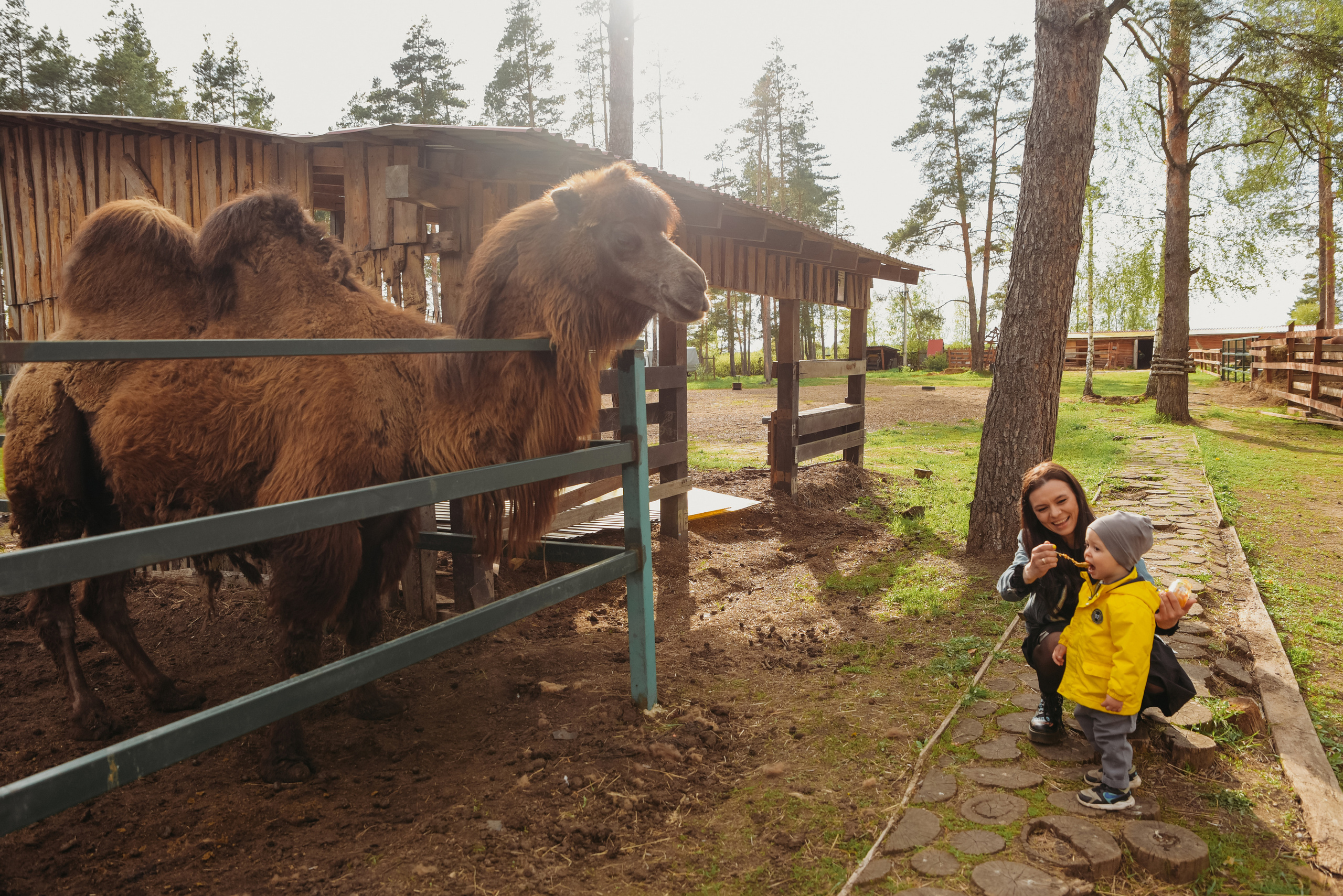 Семейные фотопрогулки. Семейный фотограф Олеся Батурина Рязань