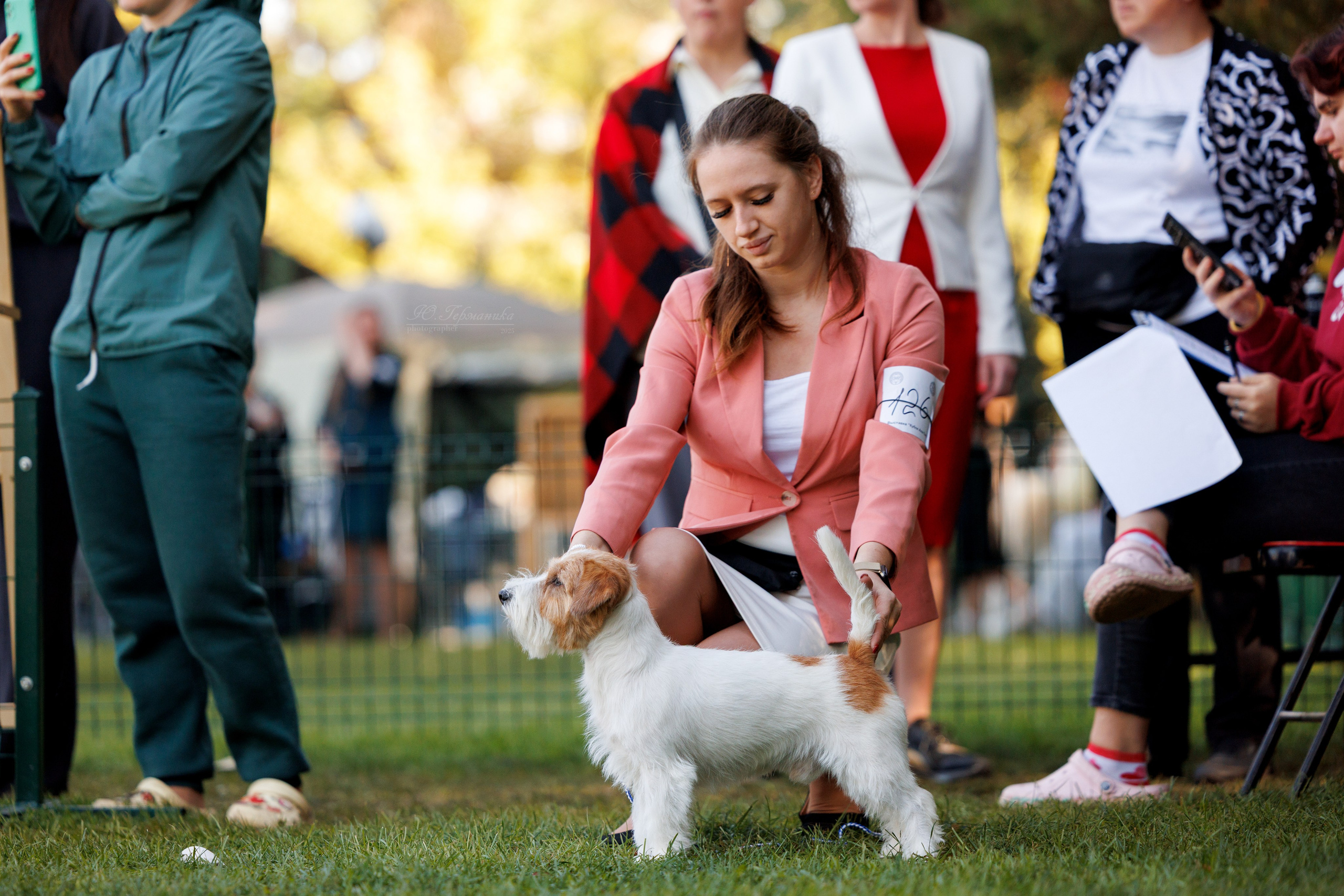 Бишкек 3х CACIB 26-28.09.2025. Фотограф-анималист Юлия Германика