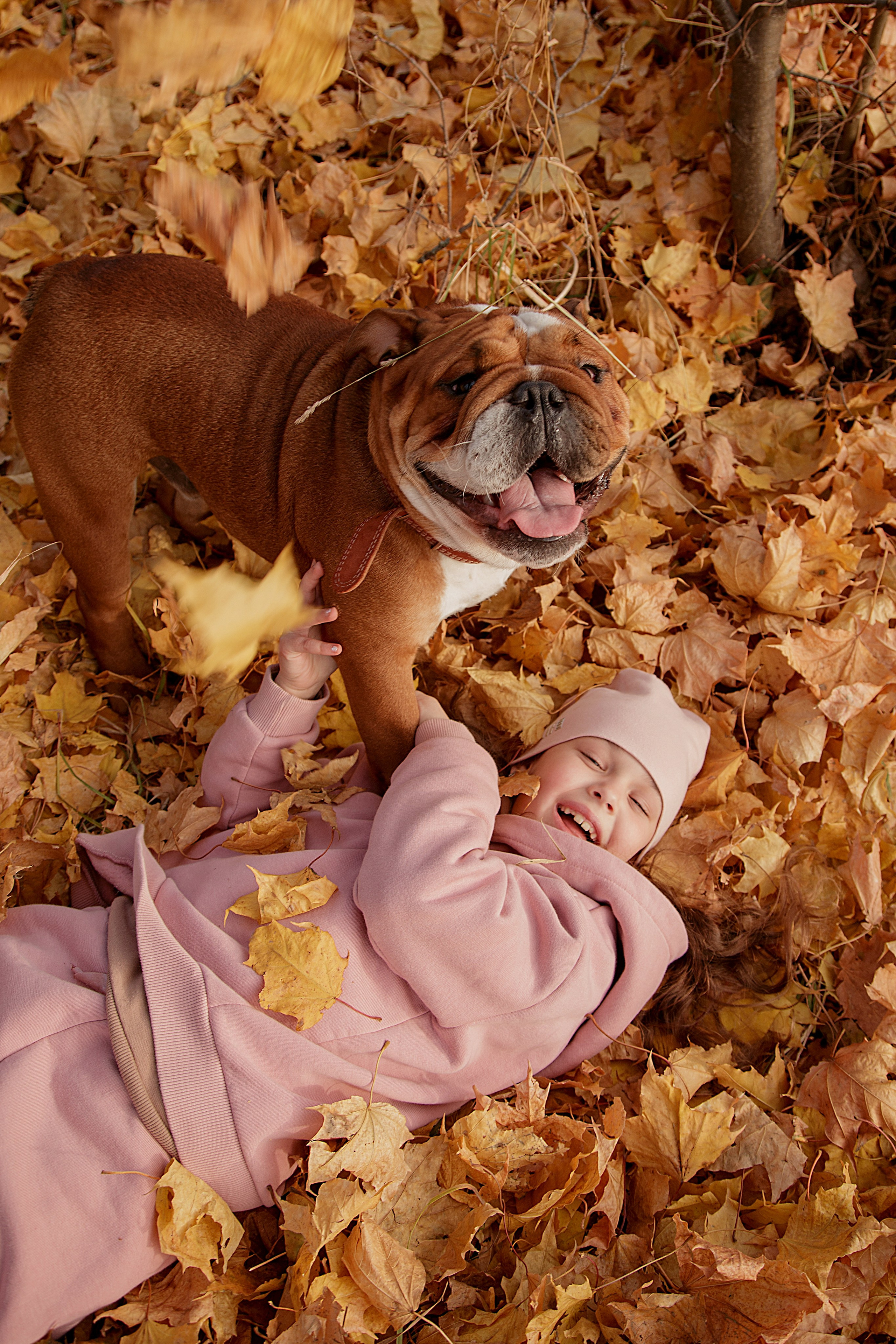 Семьи, беременность. Фотограф Ирина Зверева