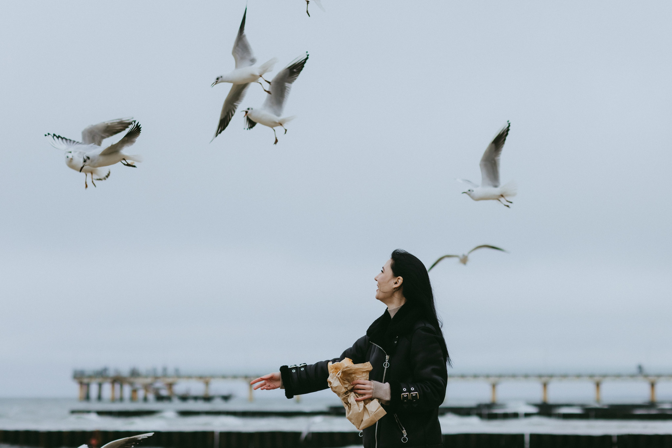 Хмурый февраль для Валентины. Фотограф Зеленоградск Красильникова Елена