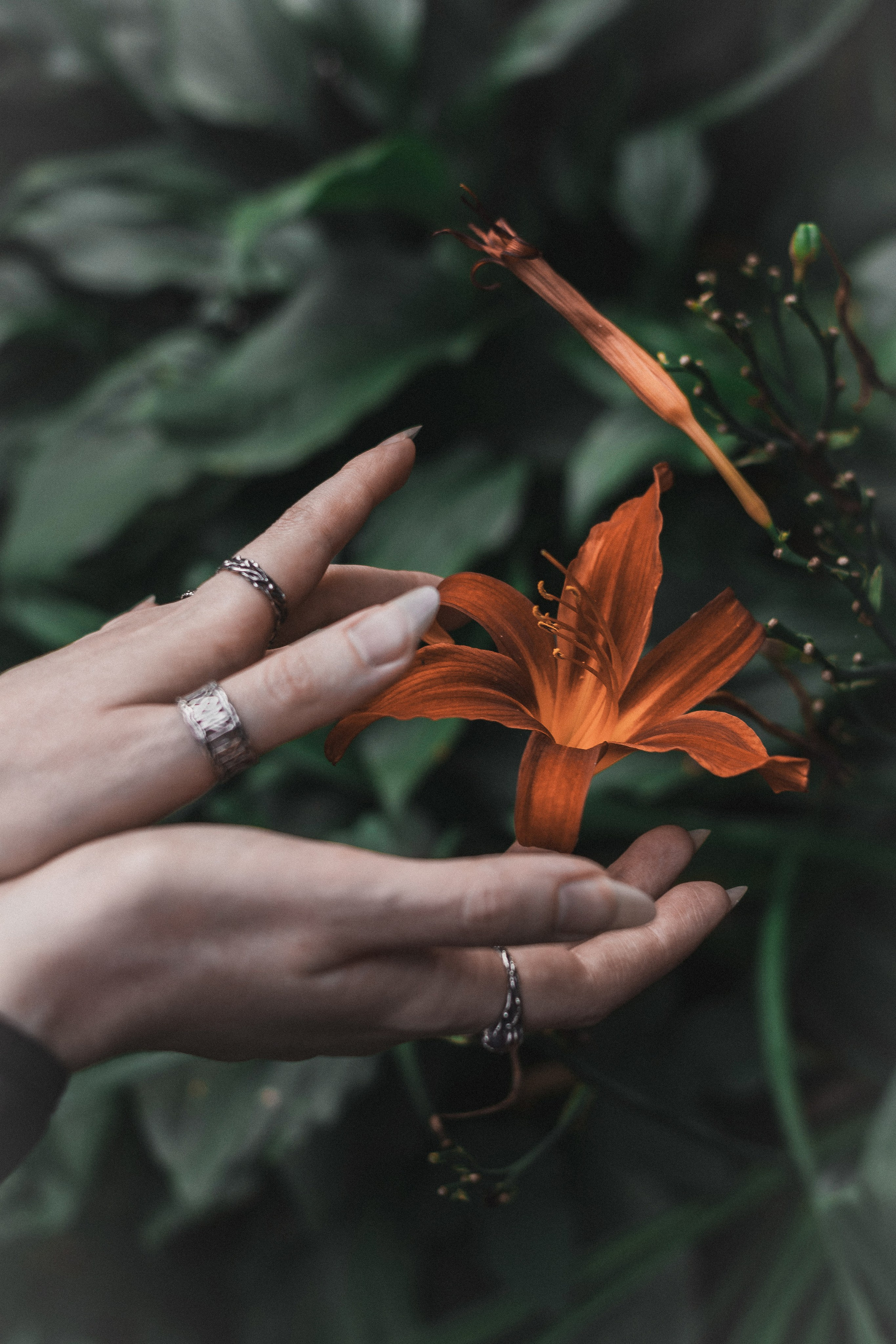 Фотопрогулки. Портретный арт-фотограф в Санкт-Петербурге Юлия Артс