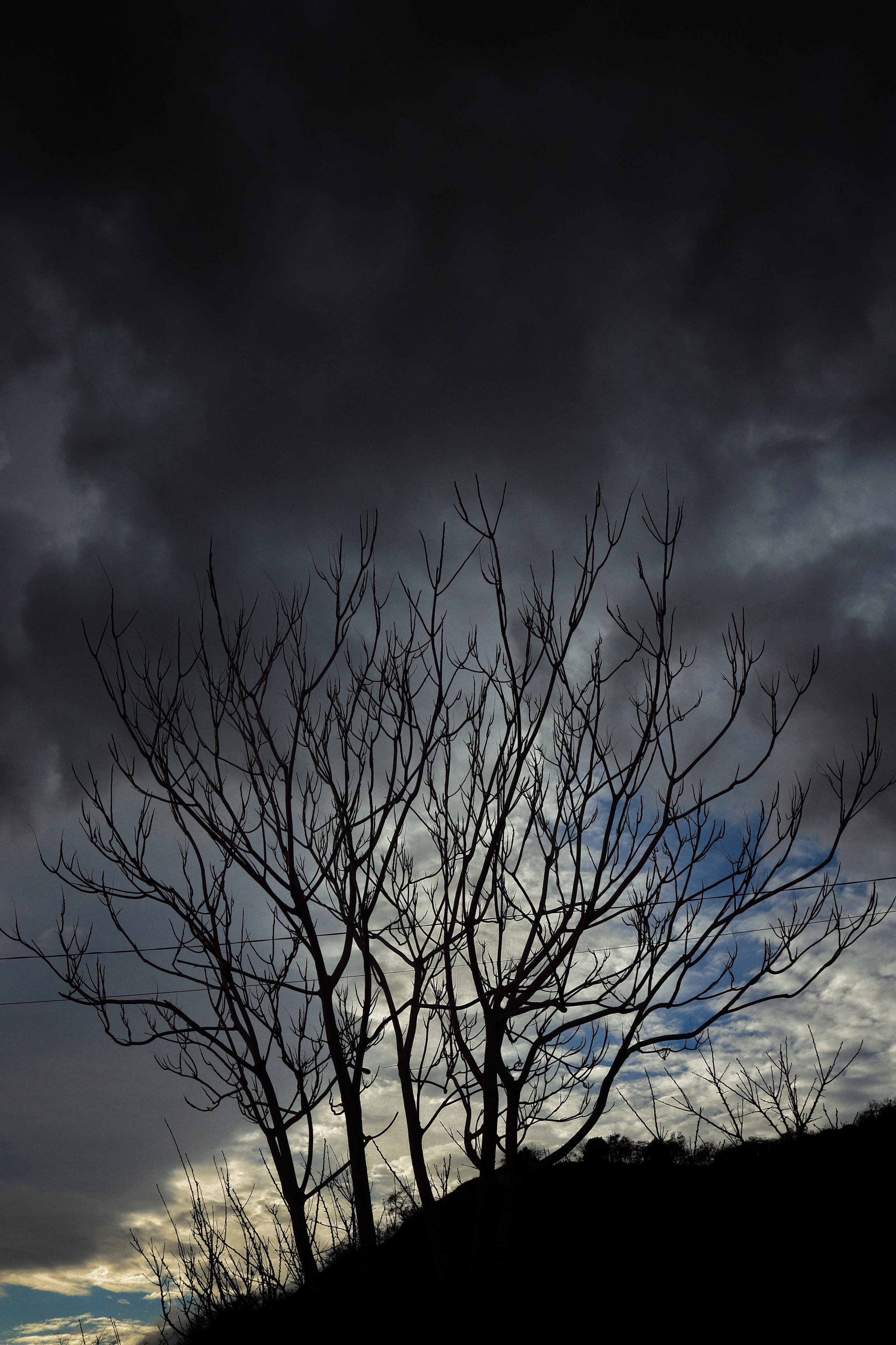 Восточная набережная. Фотограф и видеограф в Санкт-Петербурге