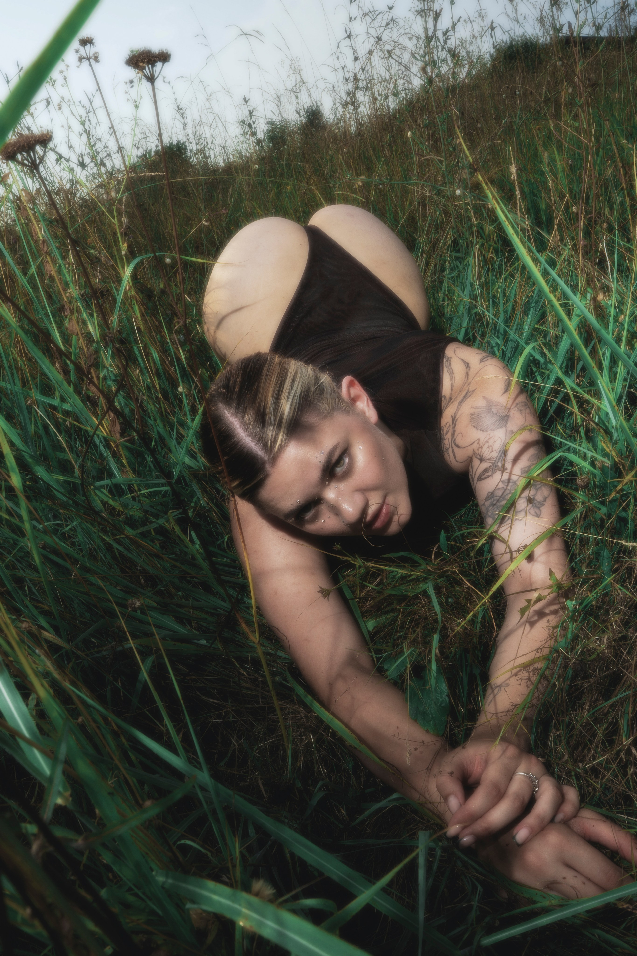 STRANGE FARM. Jorredi