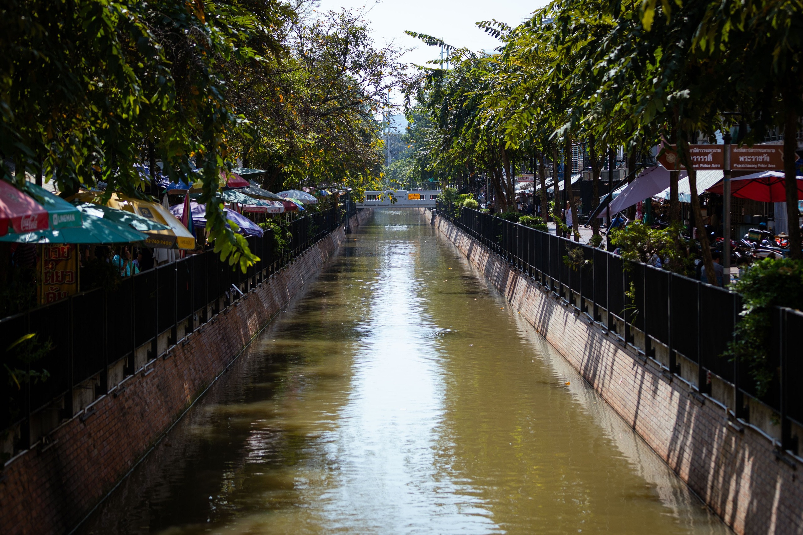 Вьетнам (зима 2025-2026). Фотограф Виноградов Константин