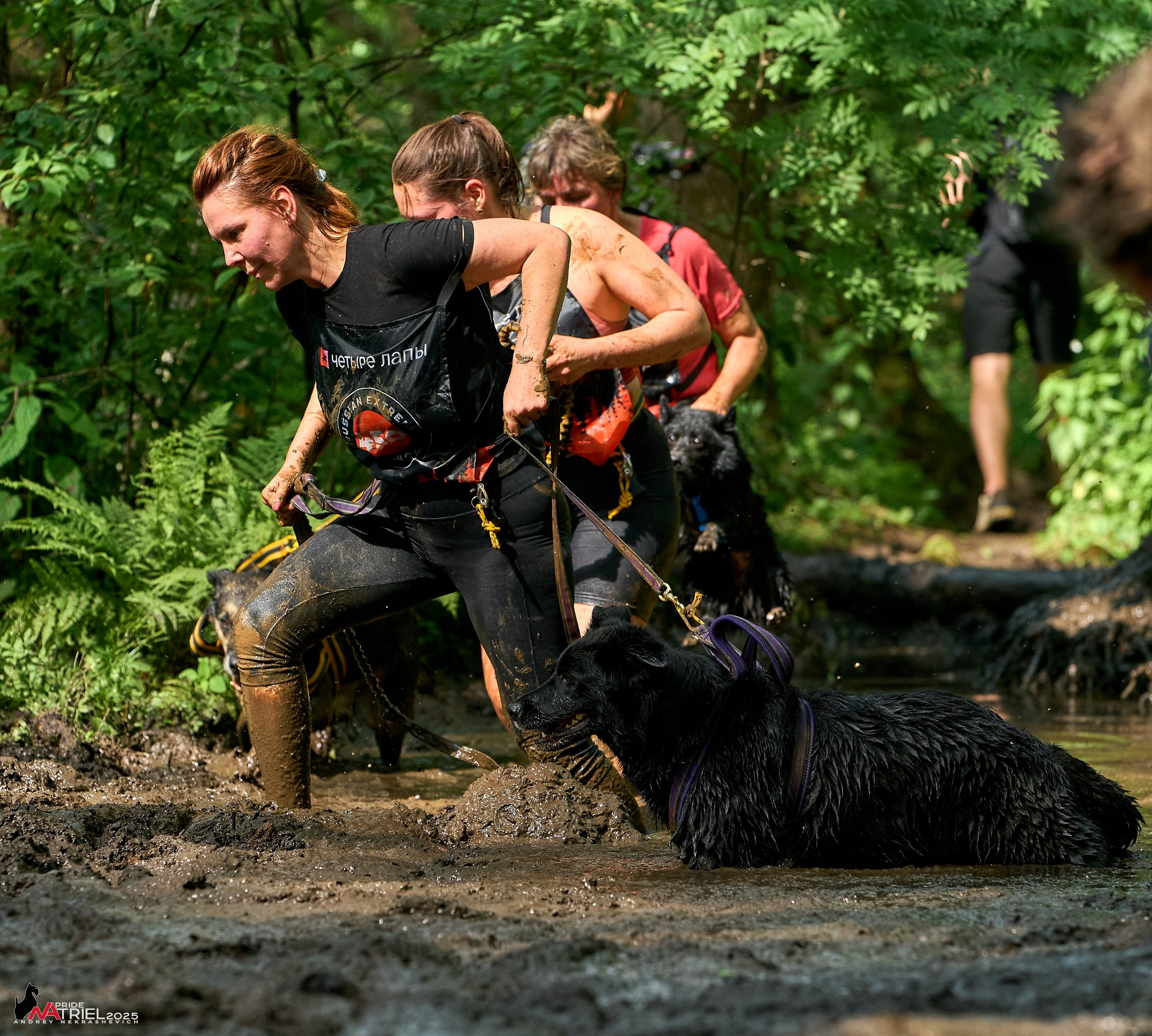 Russian Extreme Dog Trail — 2025