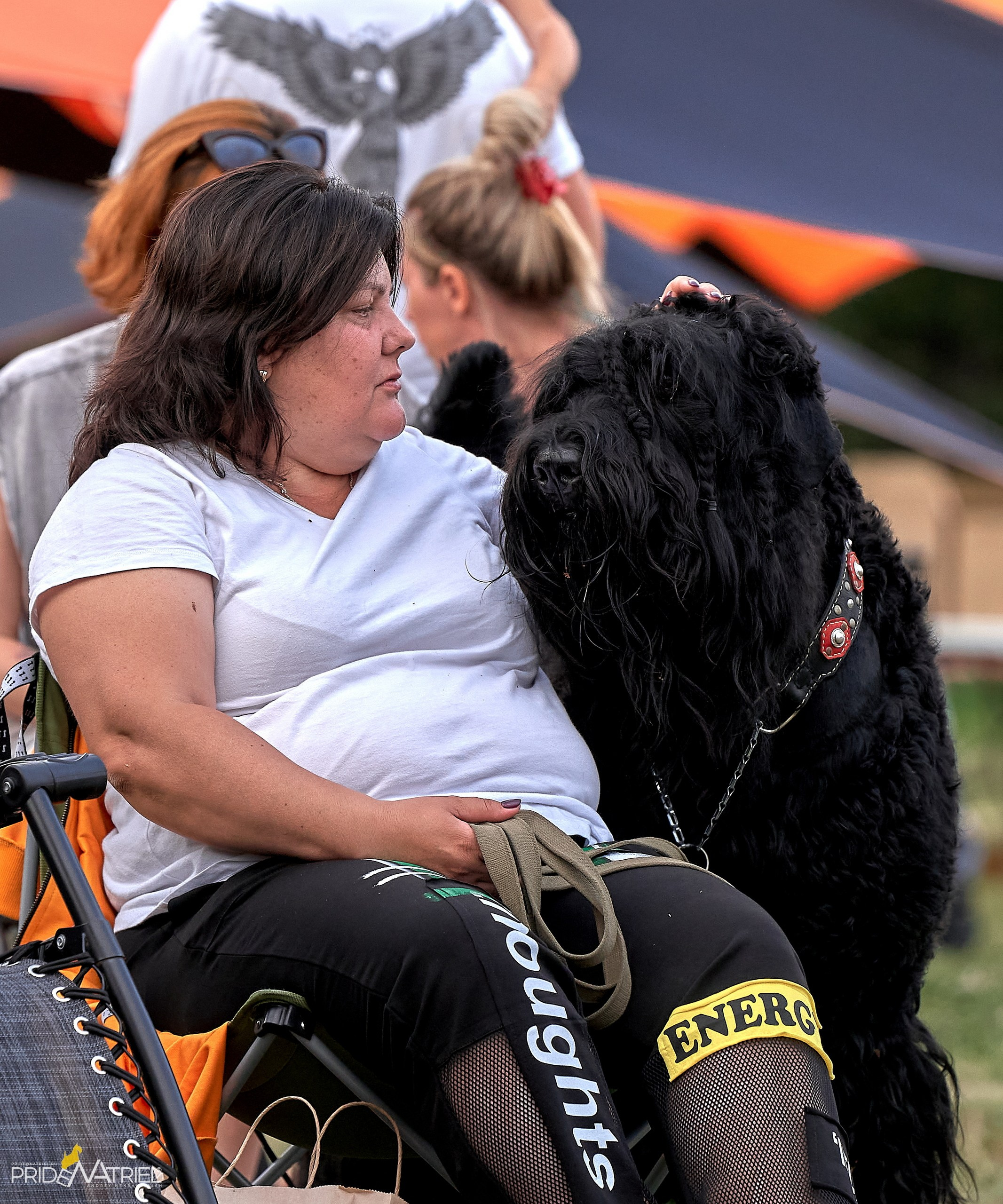 Мероприятия с собаками — галерея NATRIEL