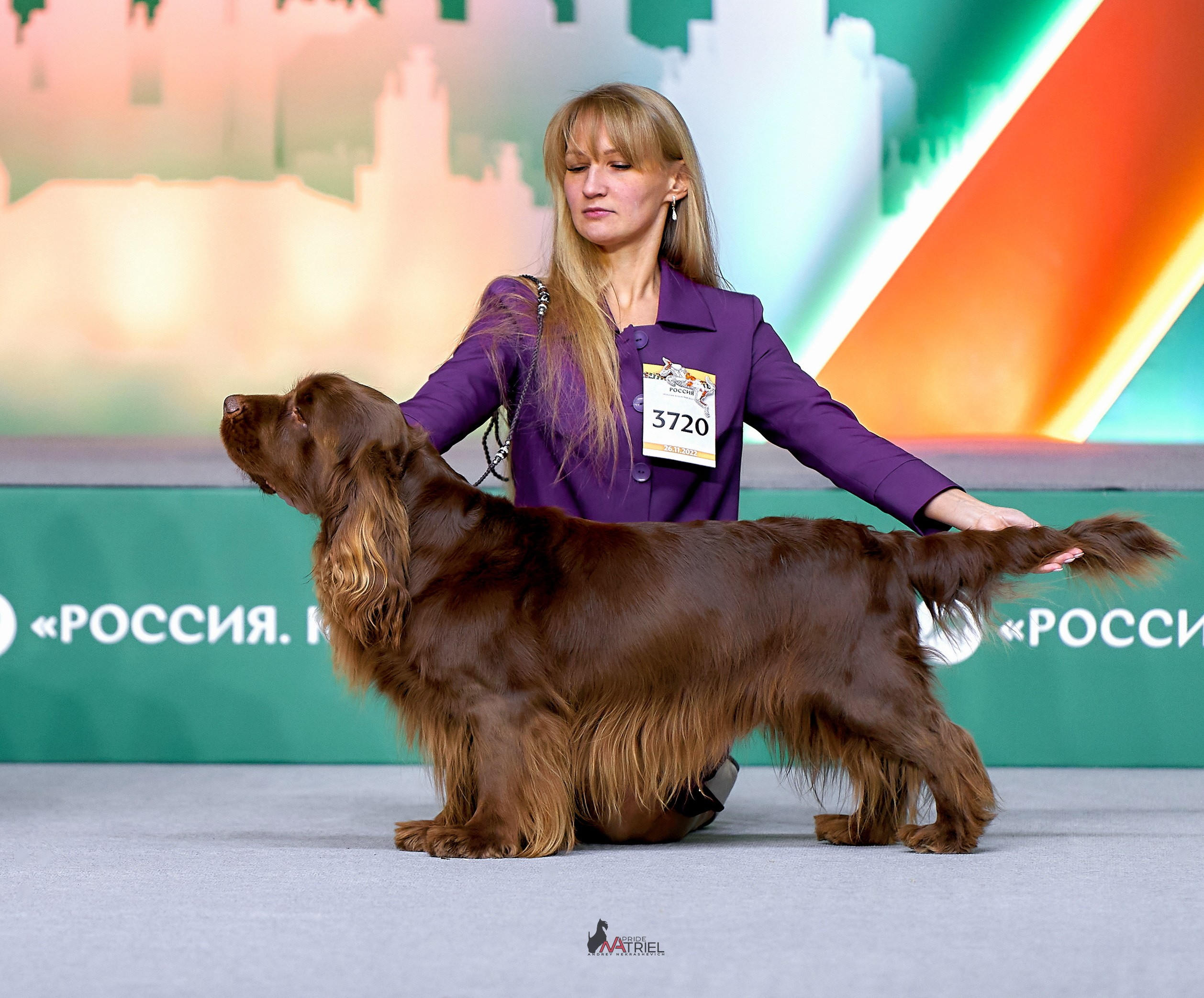 Работа в рингах — галерея NATRIEL