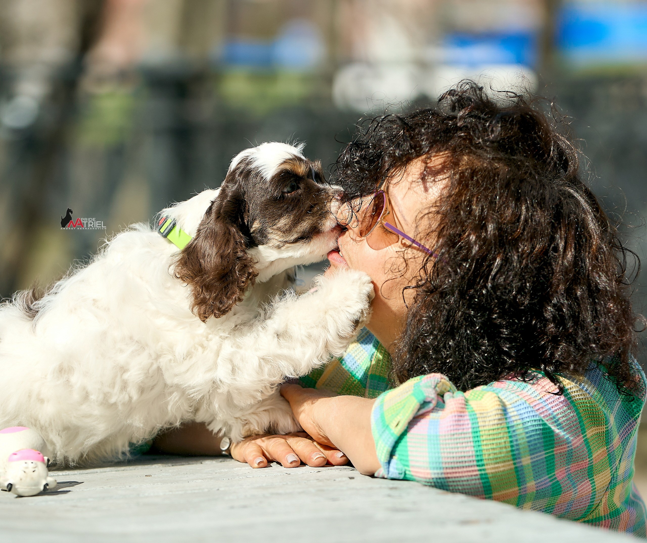 Прогулка со щенком