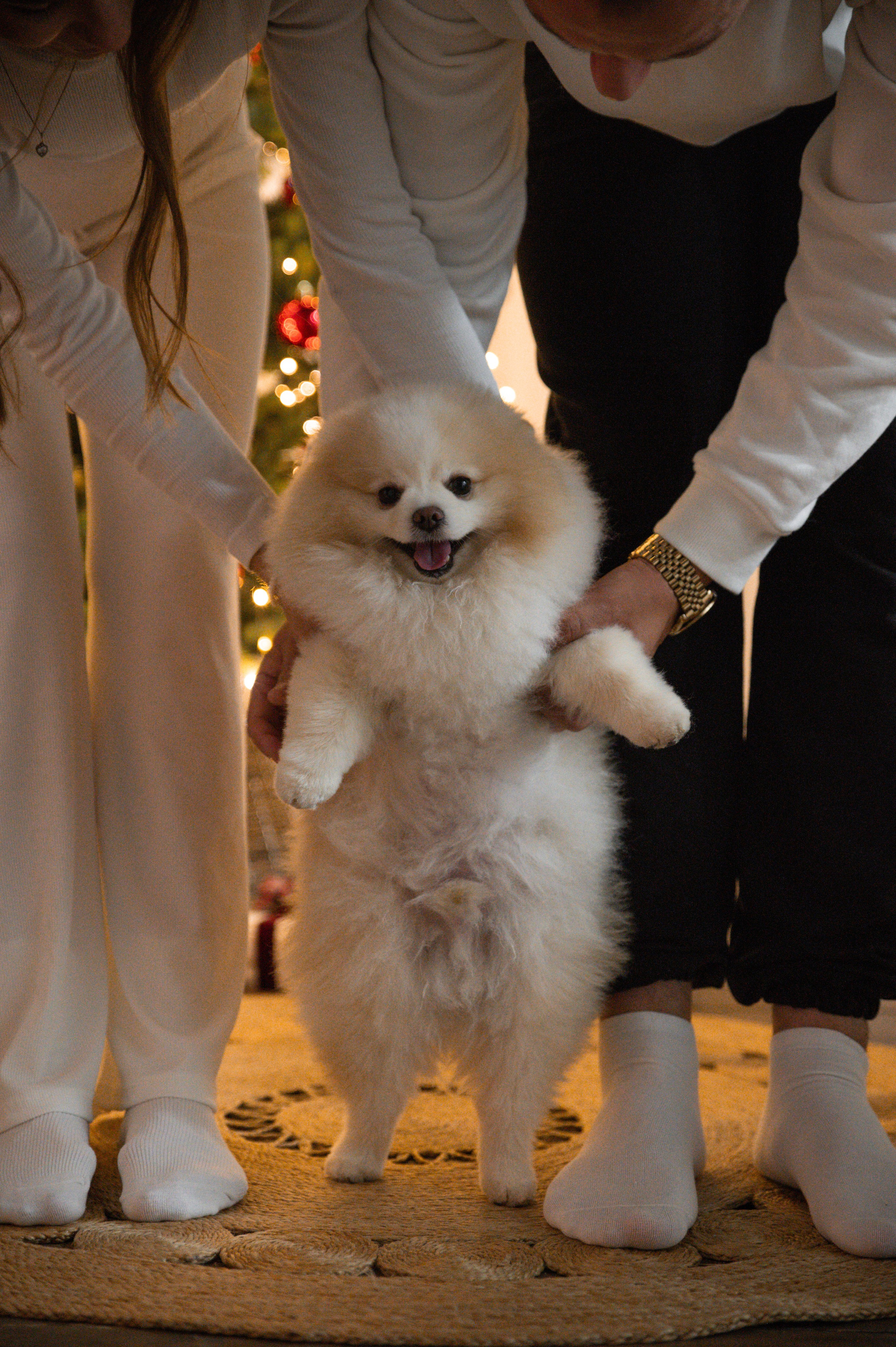 Максим, Анна и Лу. Фотограф в Севастополе — Ольга Максименко