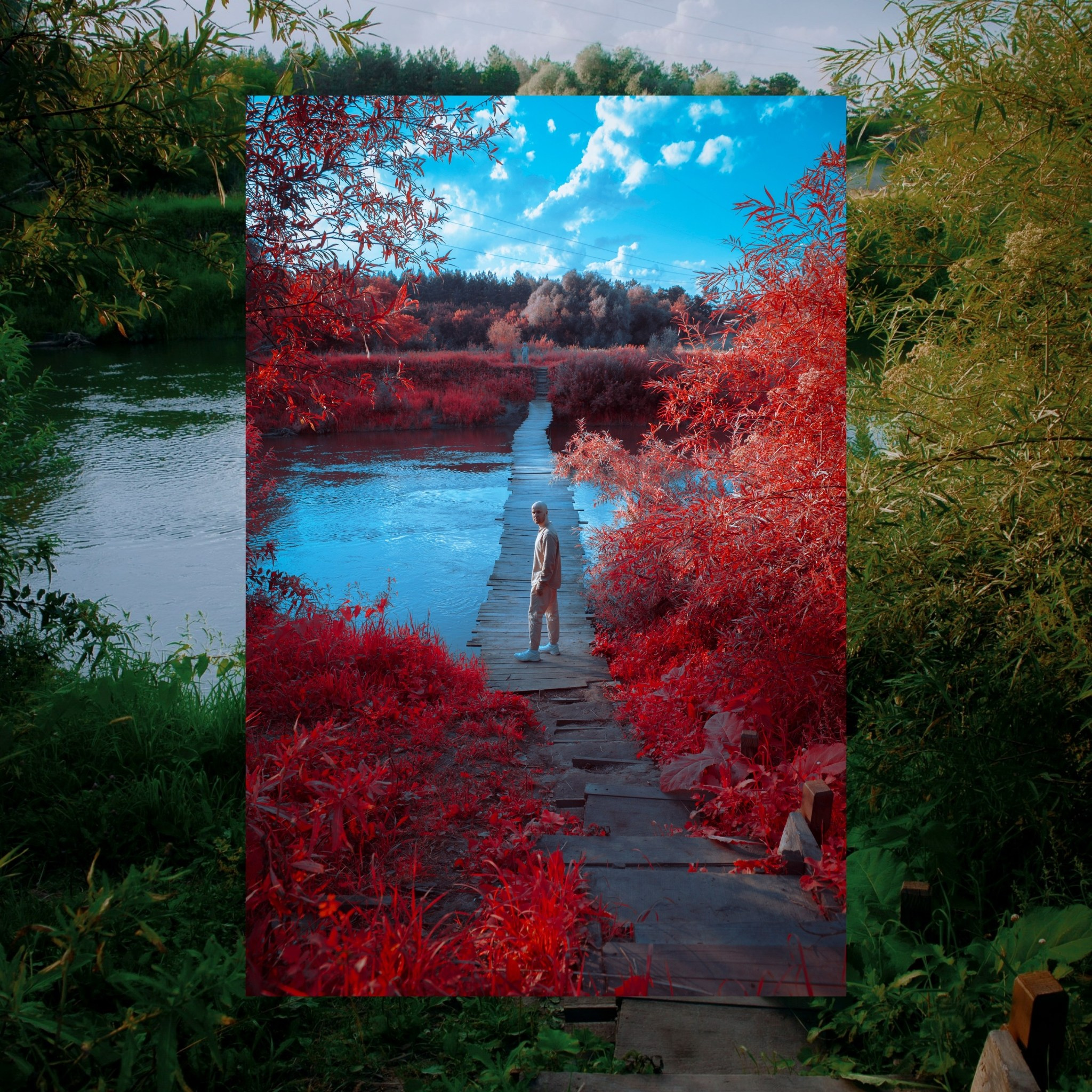 креативное арт-фото на природе