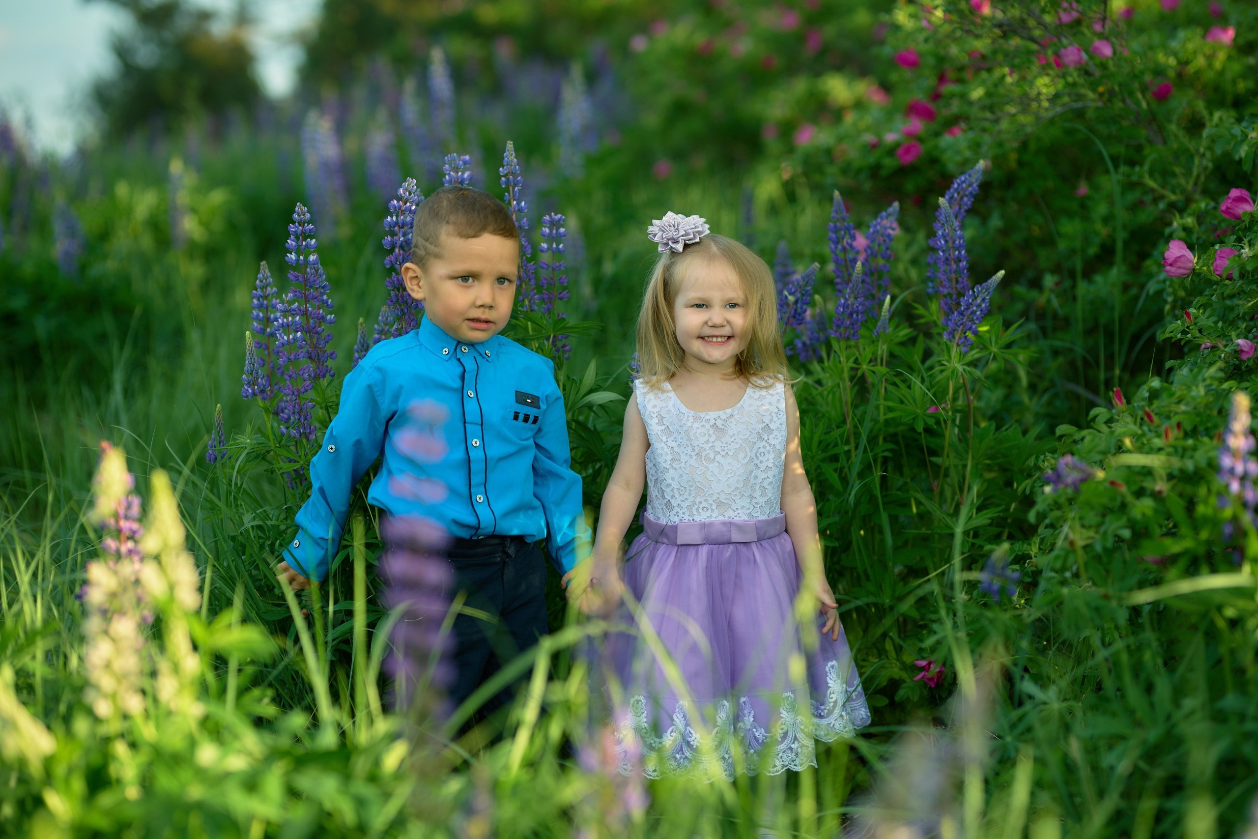 Фотосессия в люпинах. Владимир Суздалов (ProMaXe) — Портретный фотограф, тематические фотосессии в Чебоксарах