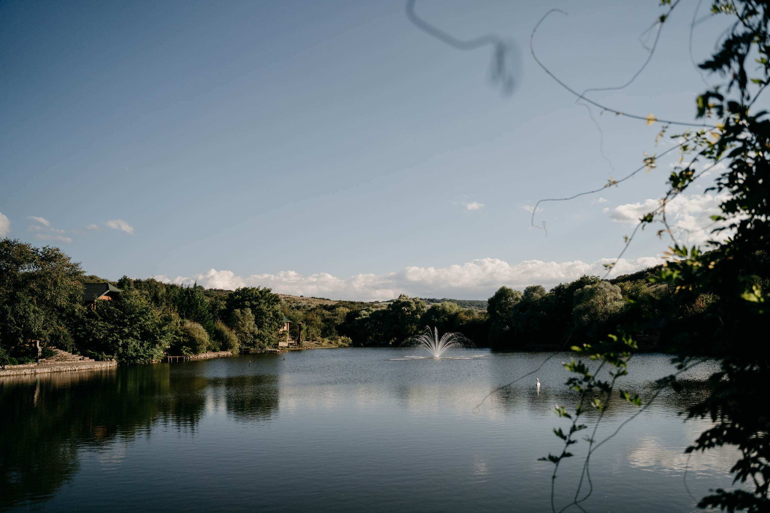 Beauty is everywhere. Hochzeitsfotograf, Familienfotograf Stuttgart, Deutschland. Alex Popov