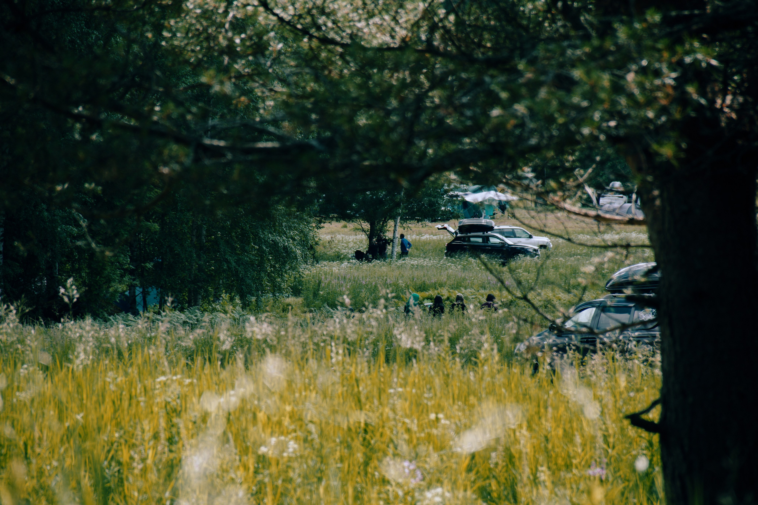 Спорт. Репортажный фотограф Блинова Мария