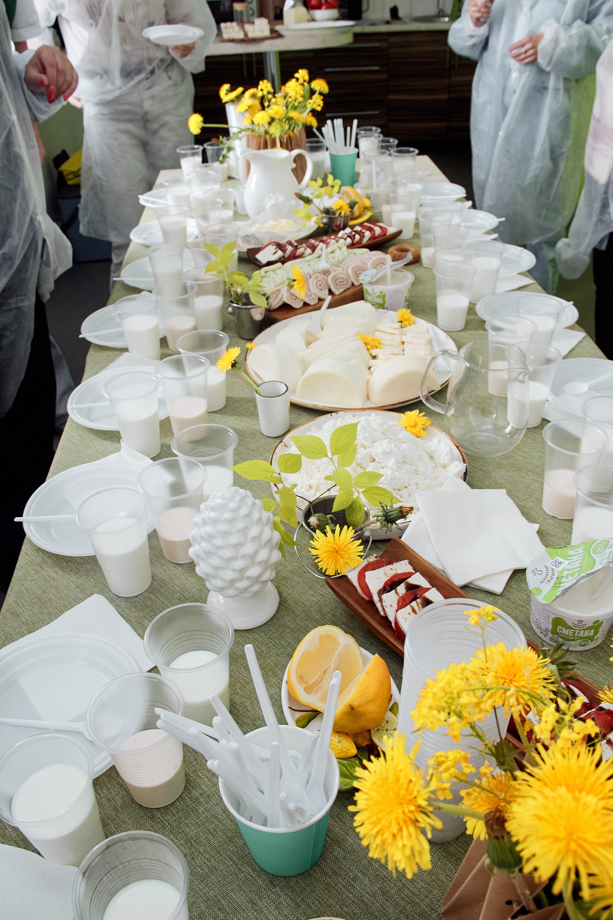 Экскурсия «Агроферма-Катынь». Фотограф в Смоленске Ася Польшина