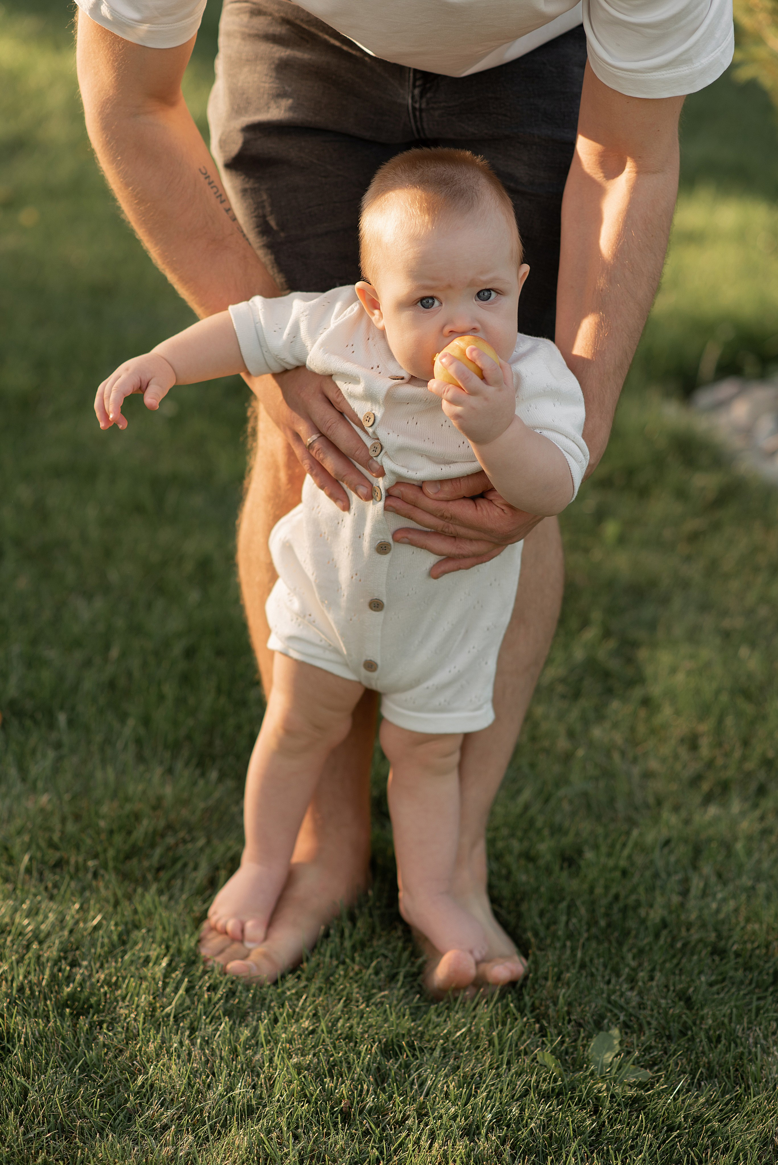 Пикник в парке. Главная