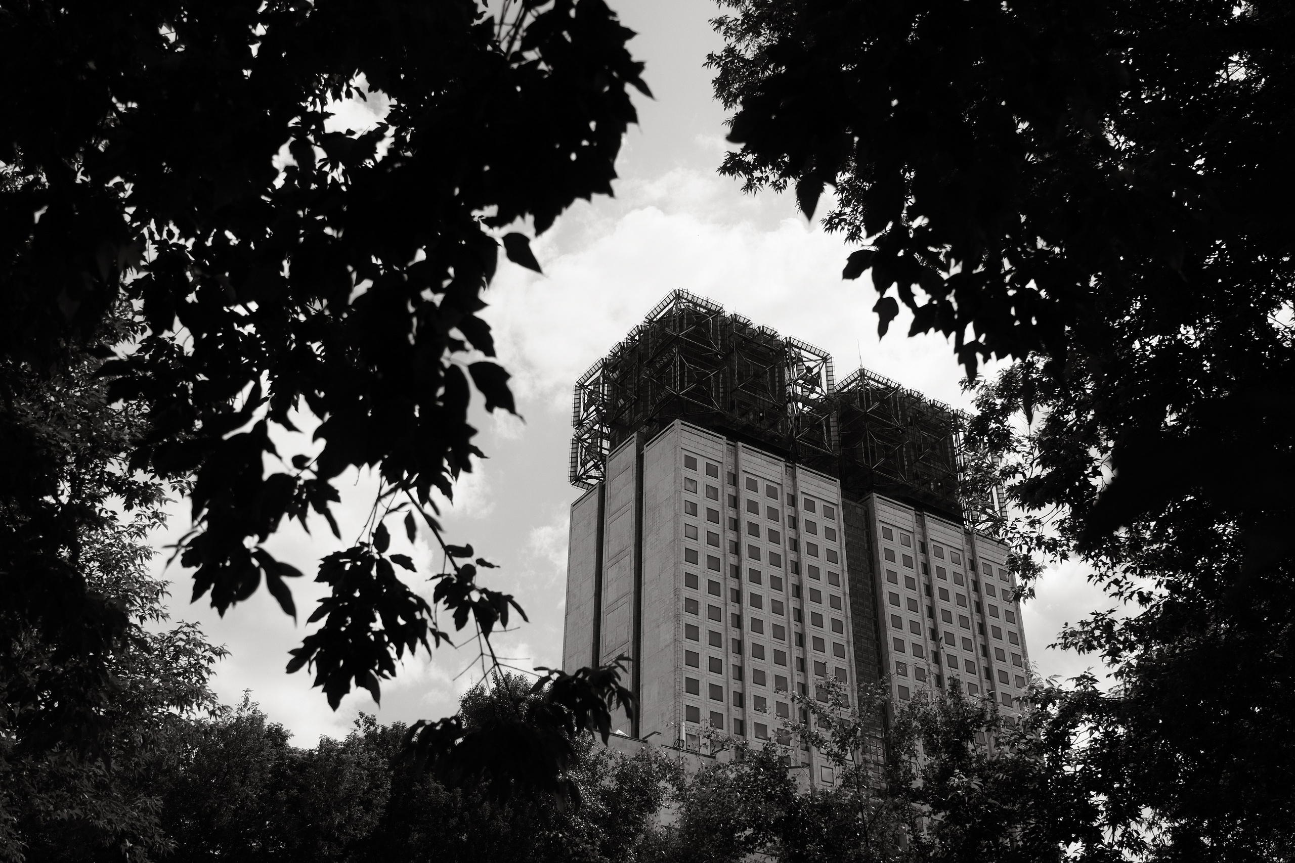 Прогулка по Воробьёвым горам. Фотограф Михаил Ерохин | Москва