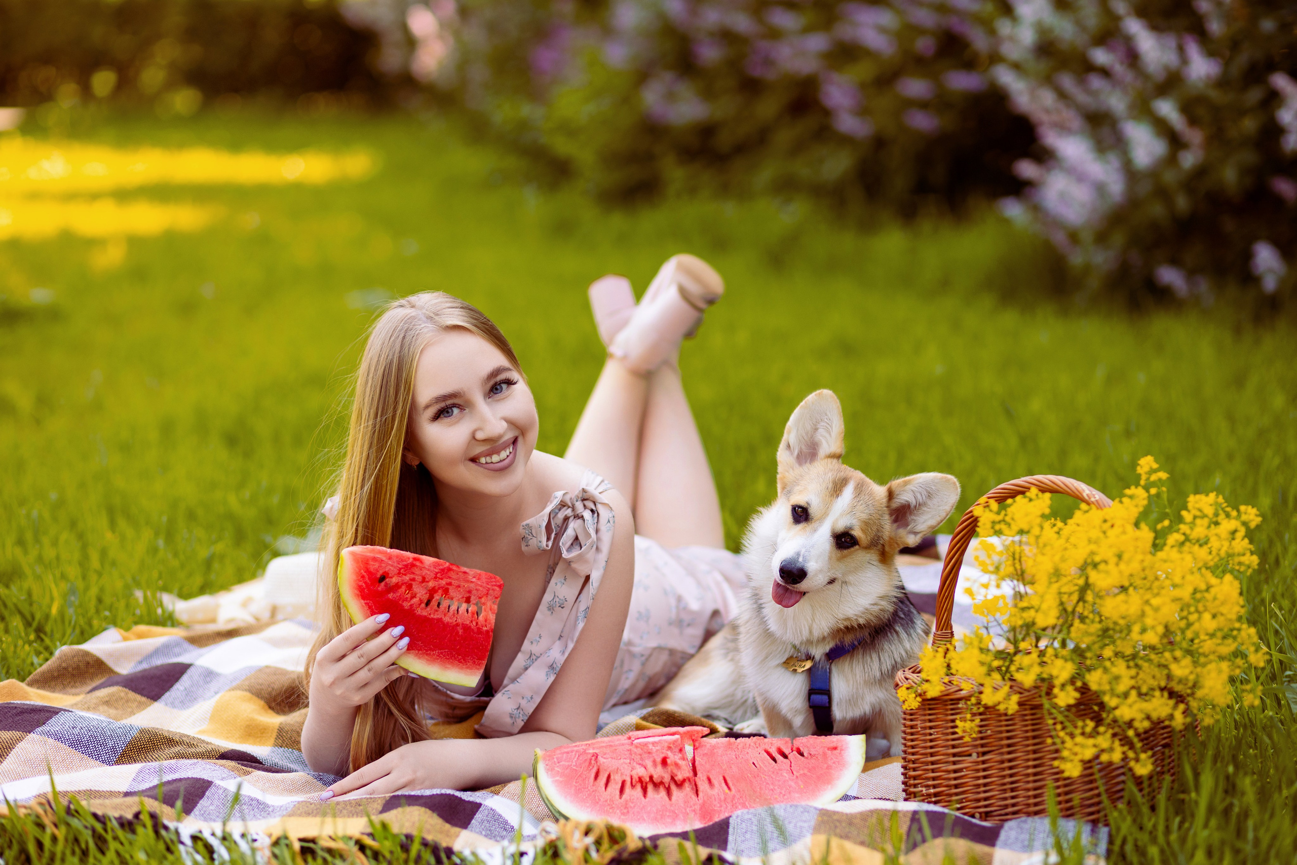 Девушка с собакой породы корги вместе едят арбуз в парке