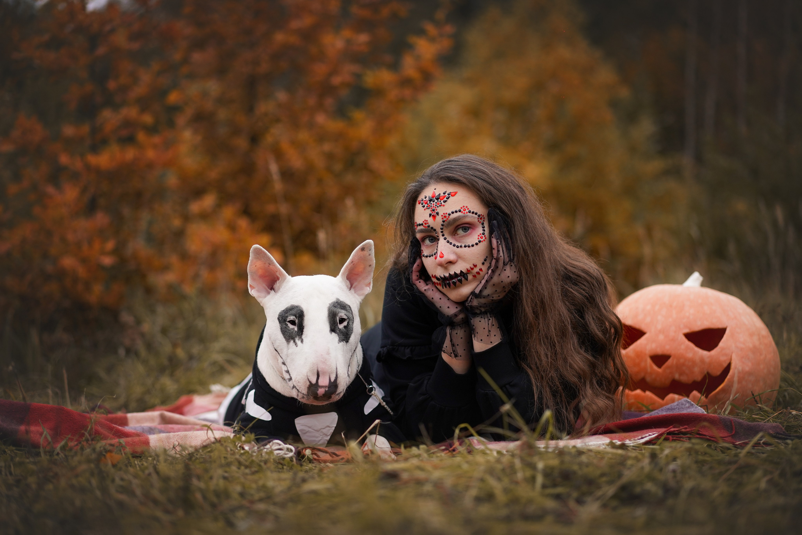 Настя Рома и Сахар Хелоуин. Фотограф-анималист в Санкт-Петербурге Яна Мартынова
