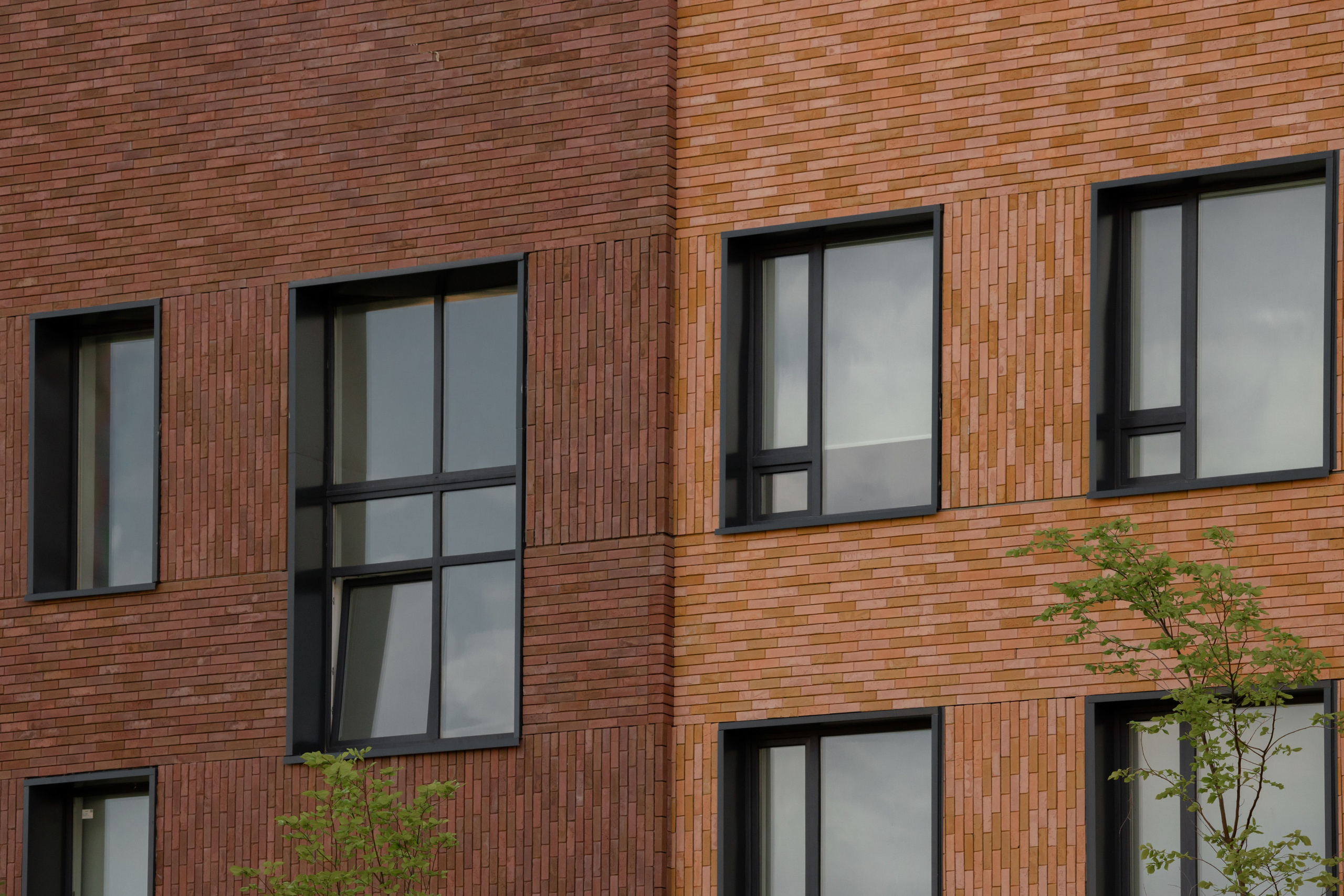 СОШ — КРАСНОГОРСК. АЛТ Портфолио