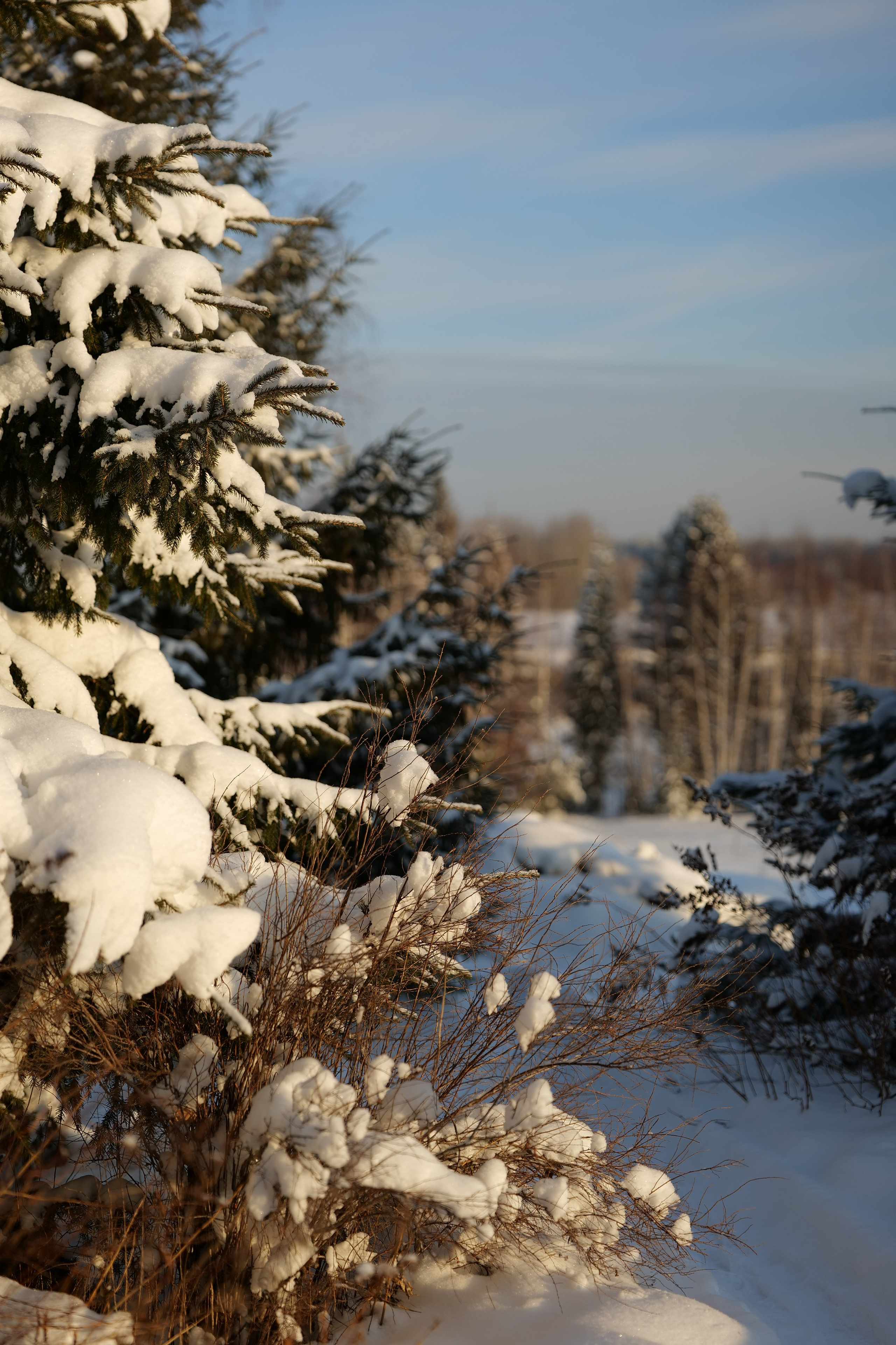 Верхотурье. Владимир Власюк