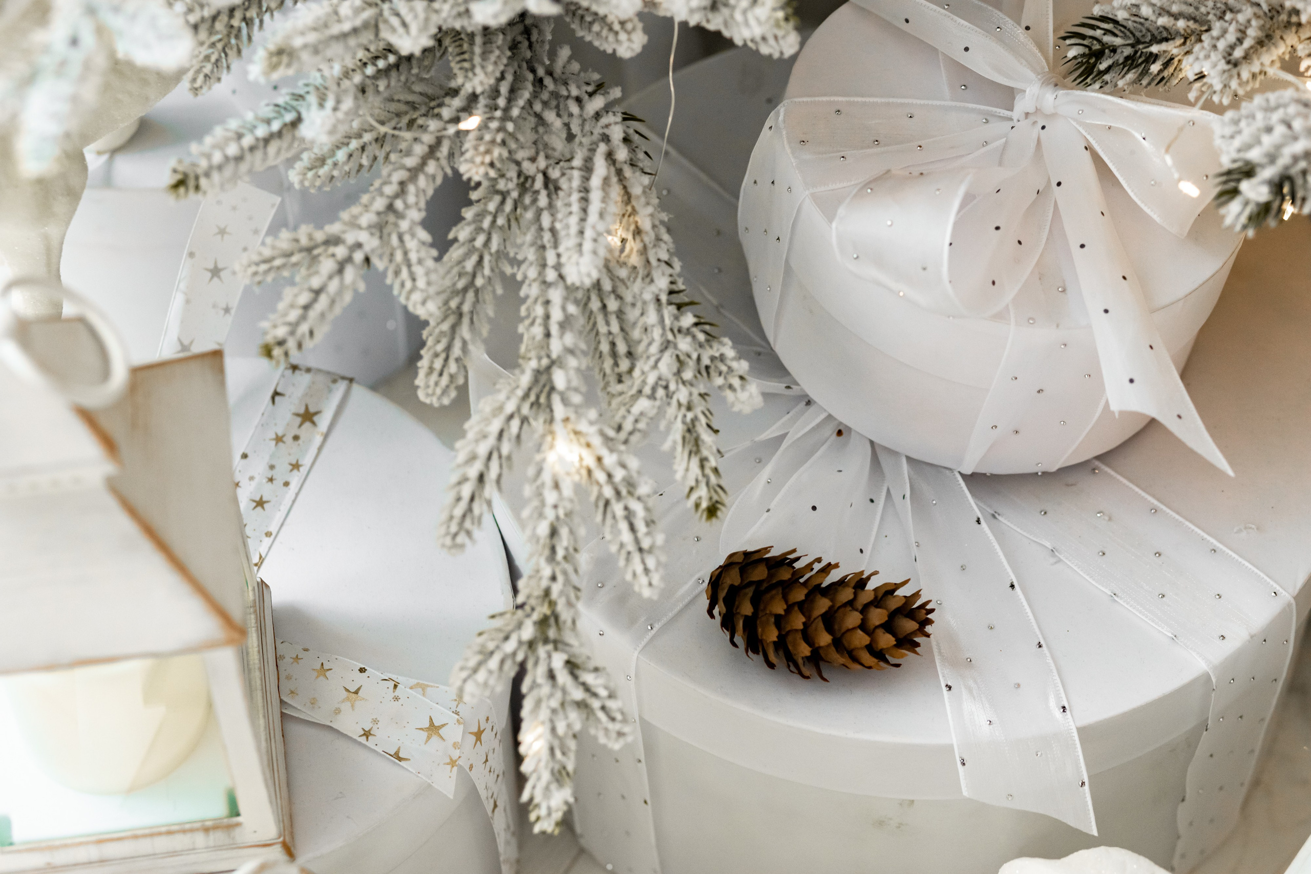 В Атмосфере. Фотограф Белгород