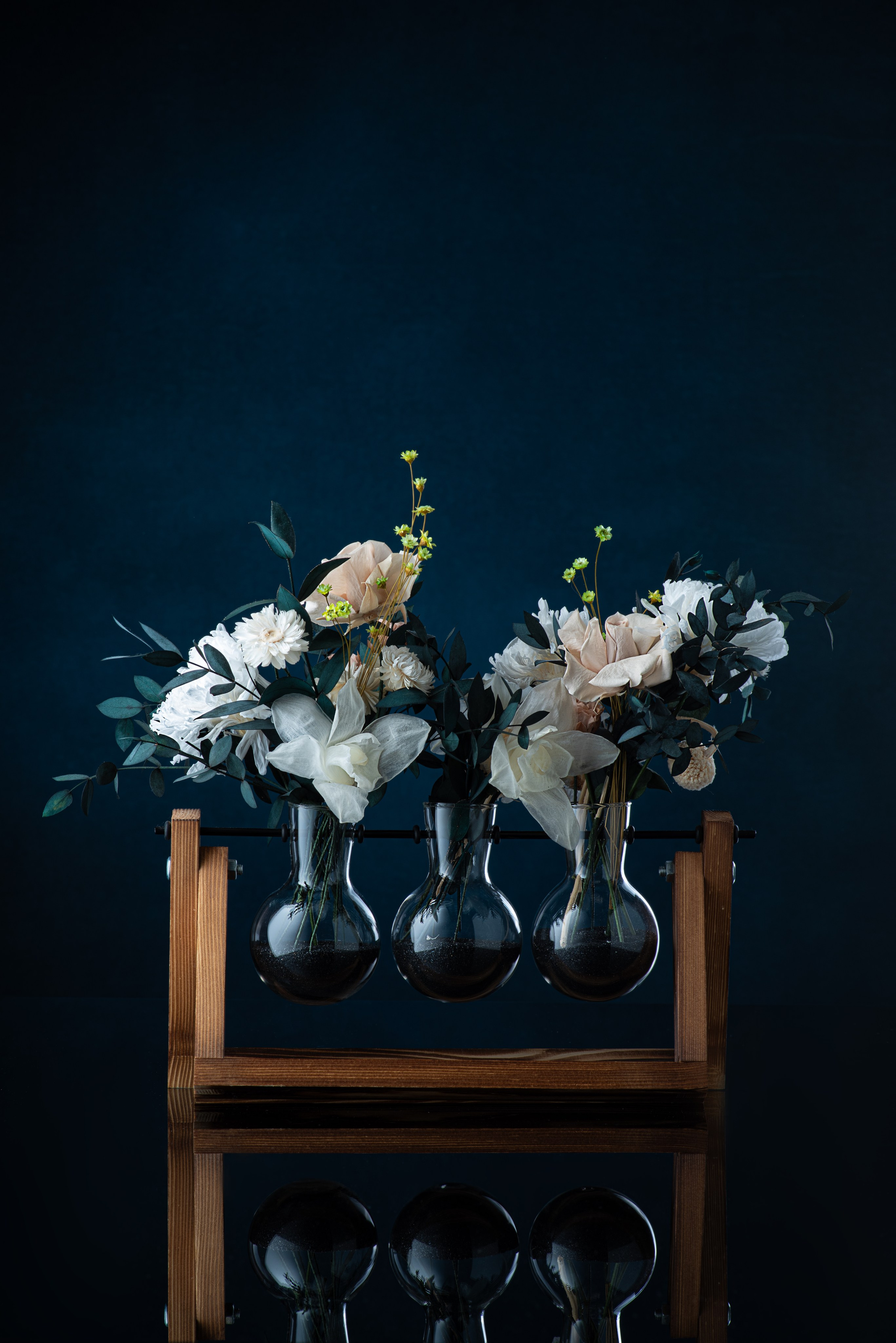 Фотосъёмка растений фотограф Залитко Вячеслав