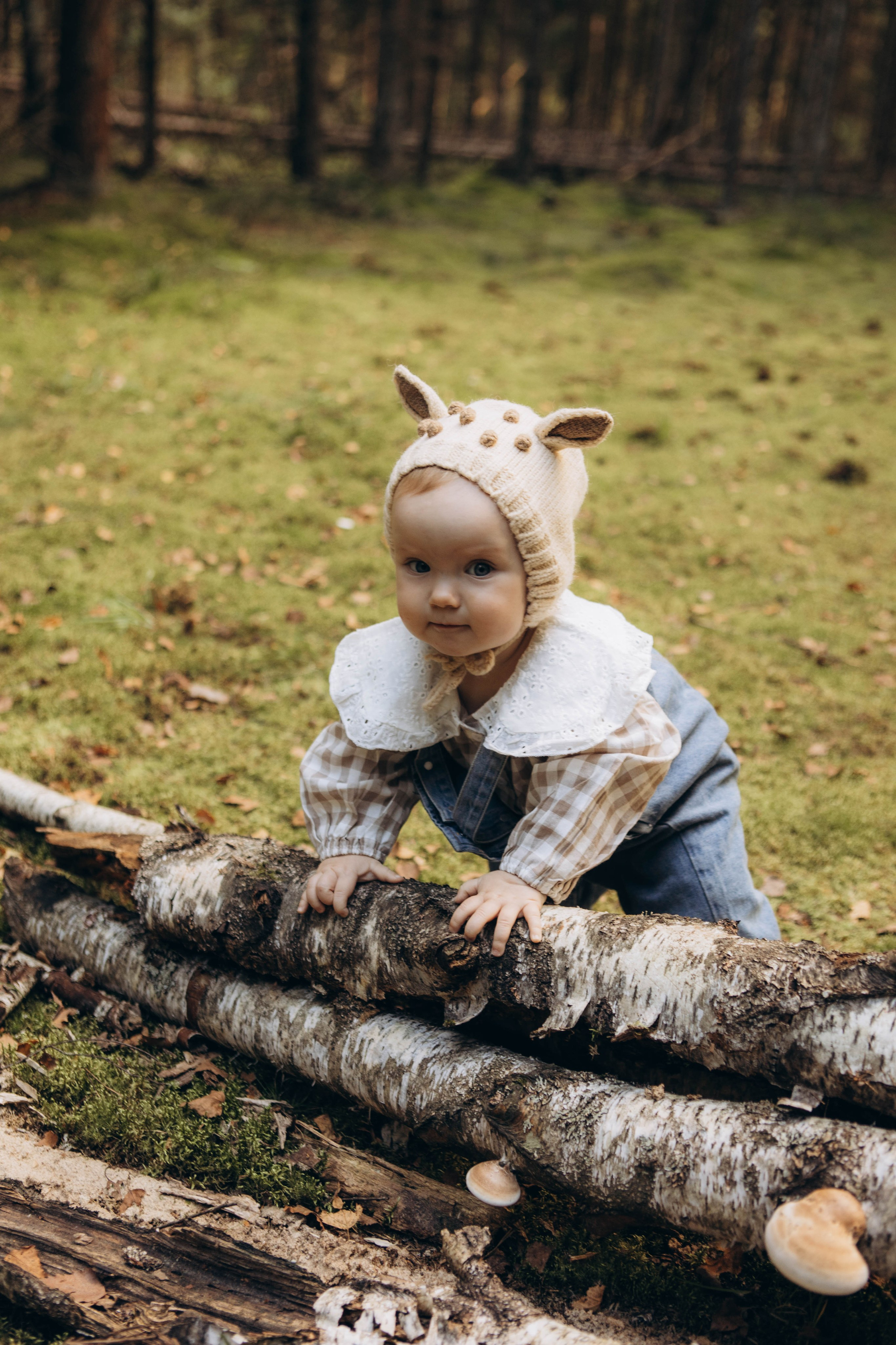 Лесная история. Наталья Косьянова. Ваш фотограф. Москва