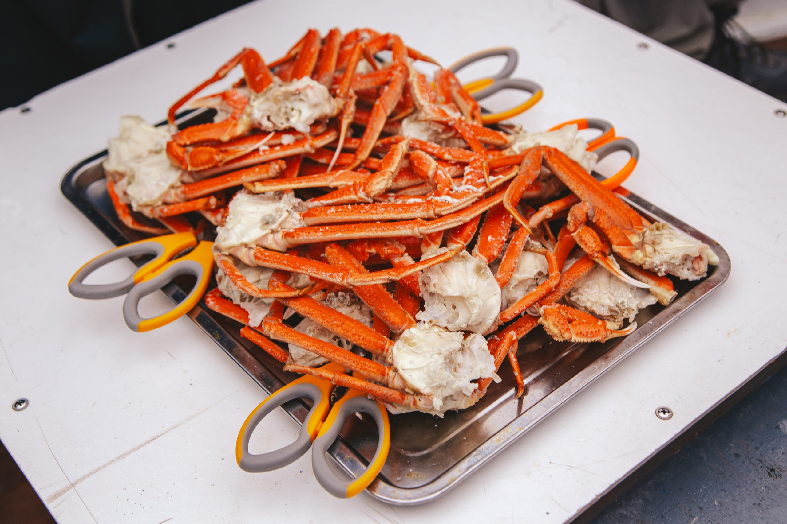 Travel. Пилот, фотограф и оператор Баркалова Светлана