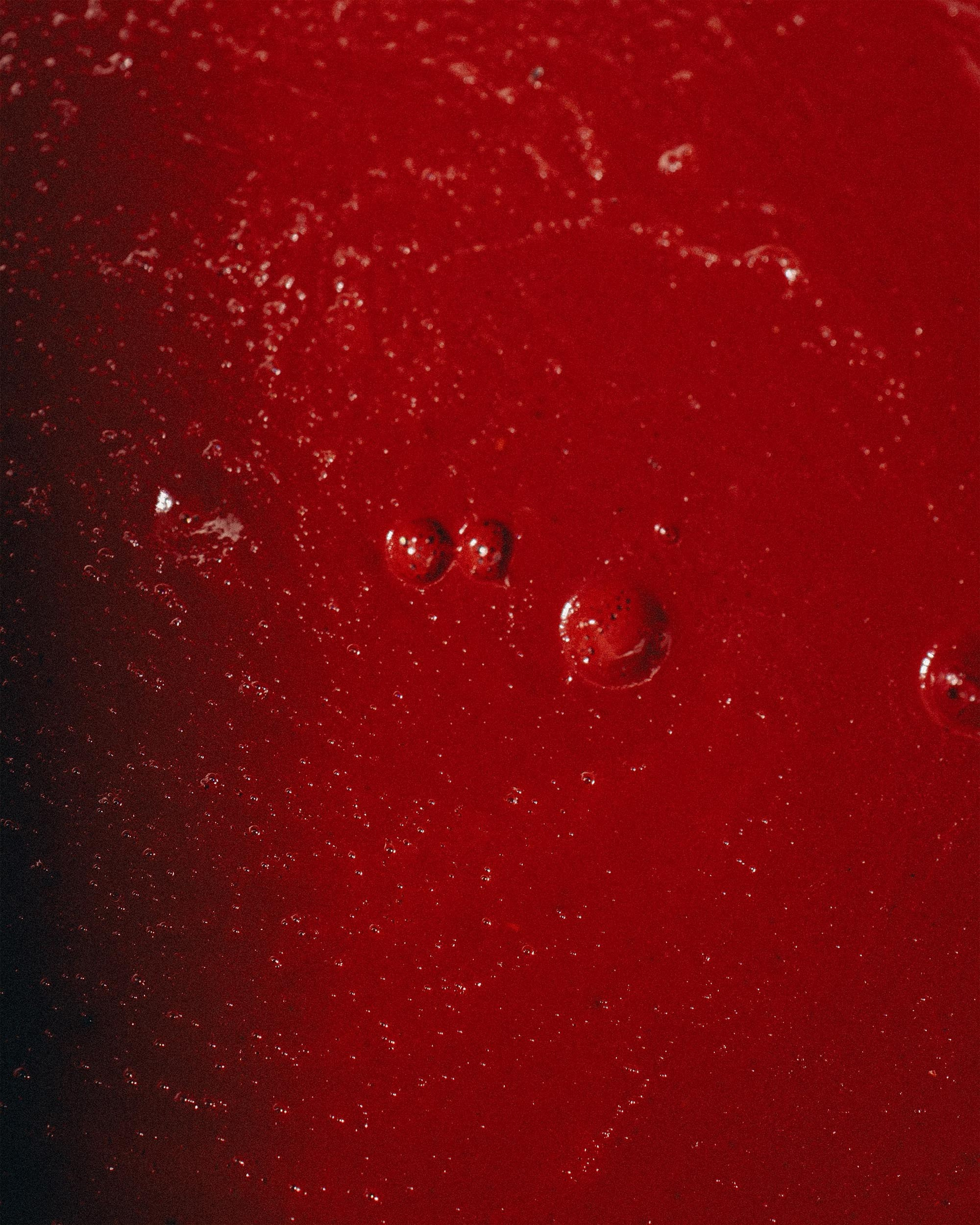 69 — CHA. Ivan Petrov photographer