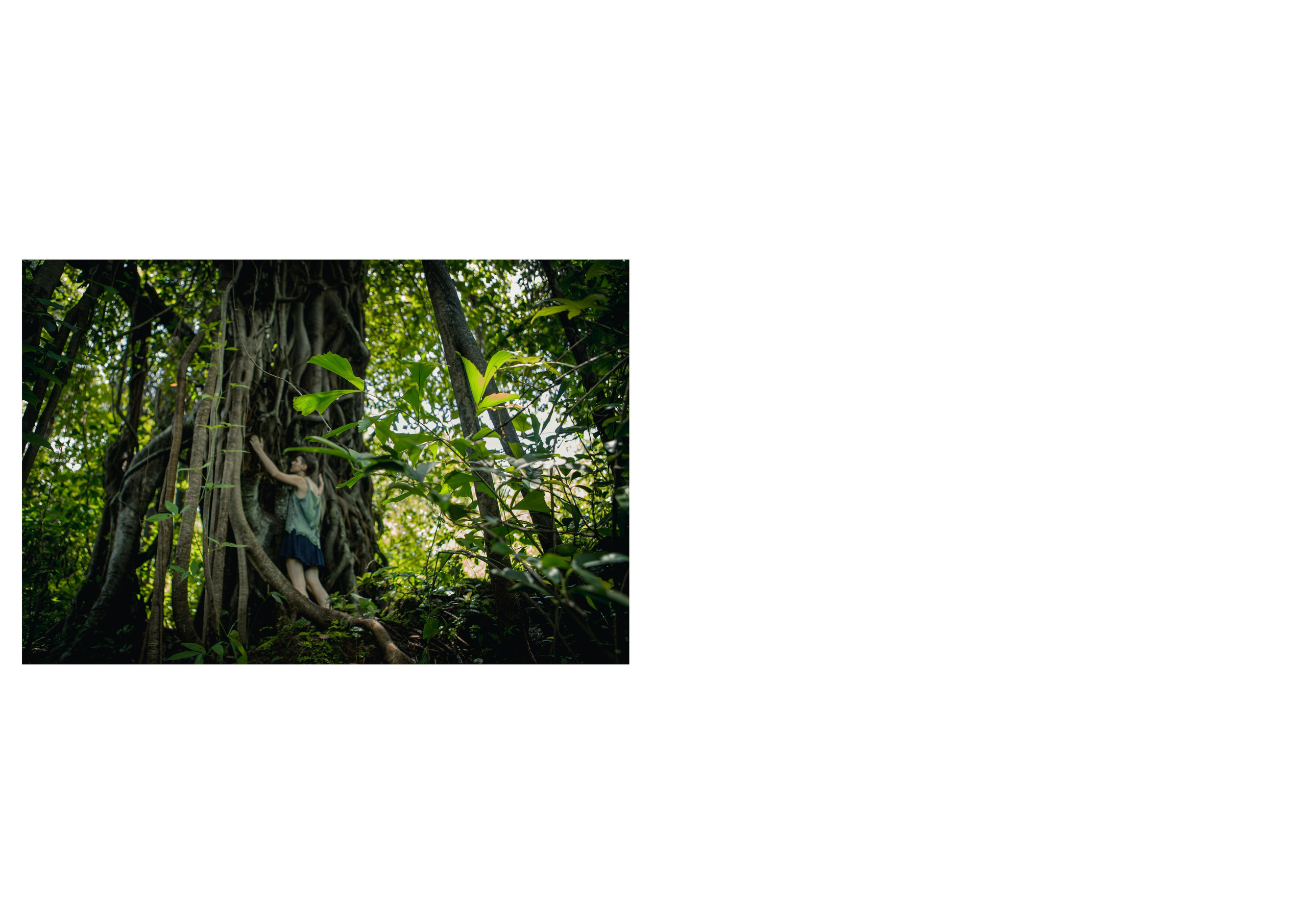 Nature me. Сайт Фотографа MASHASOLAR