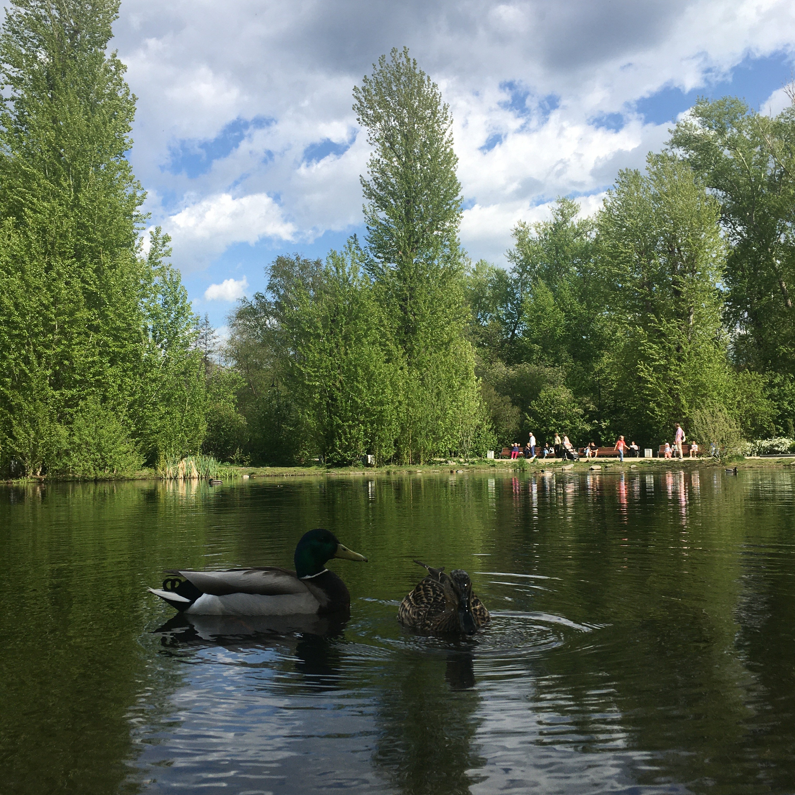 Солнечный. Фотограф в Санкт-Петербурге Березовский Даниил