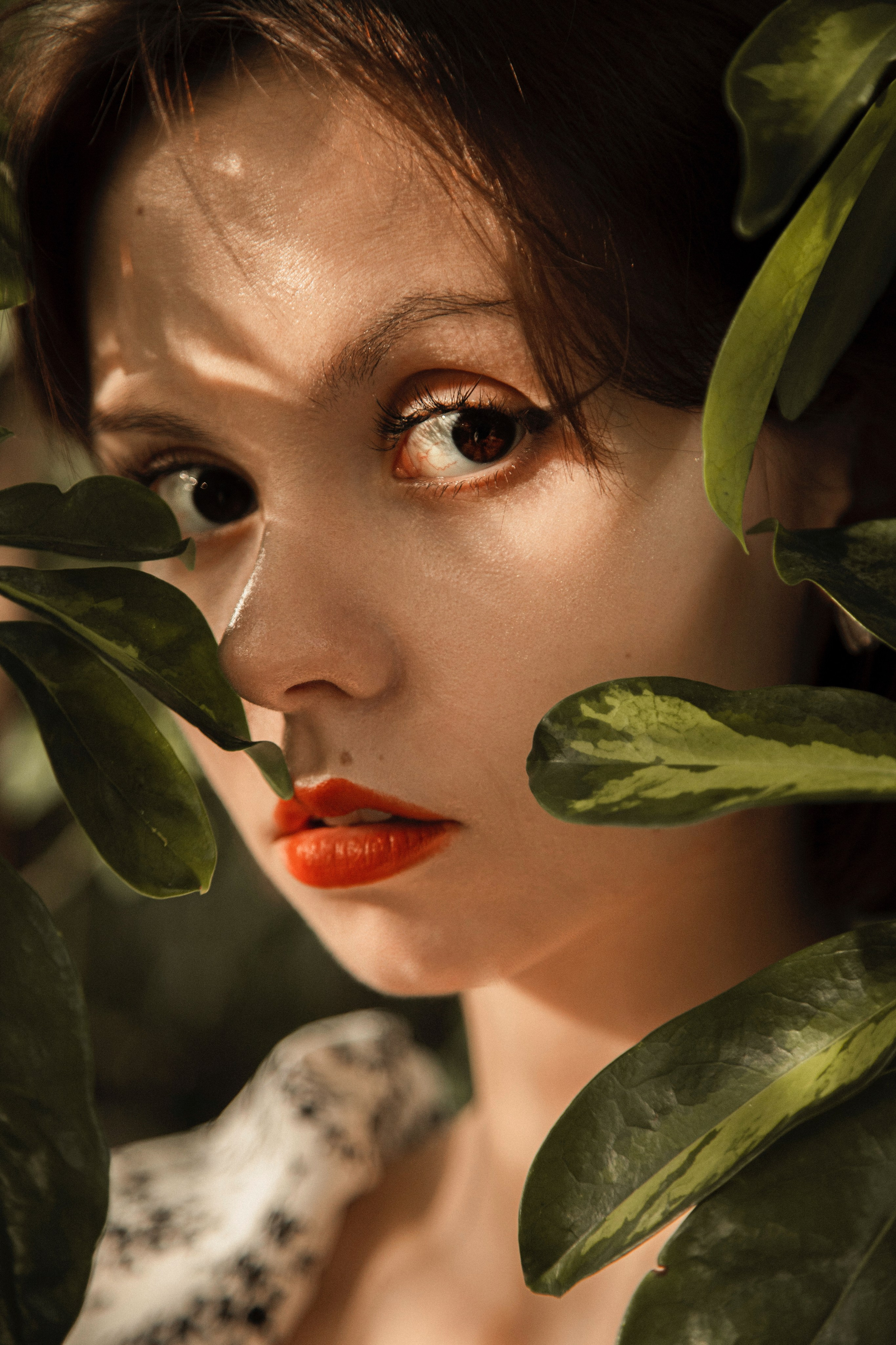 Оранжерея Таврического сада