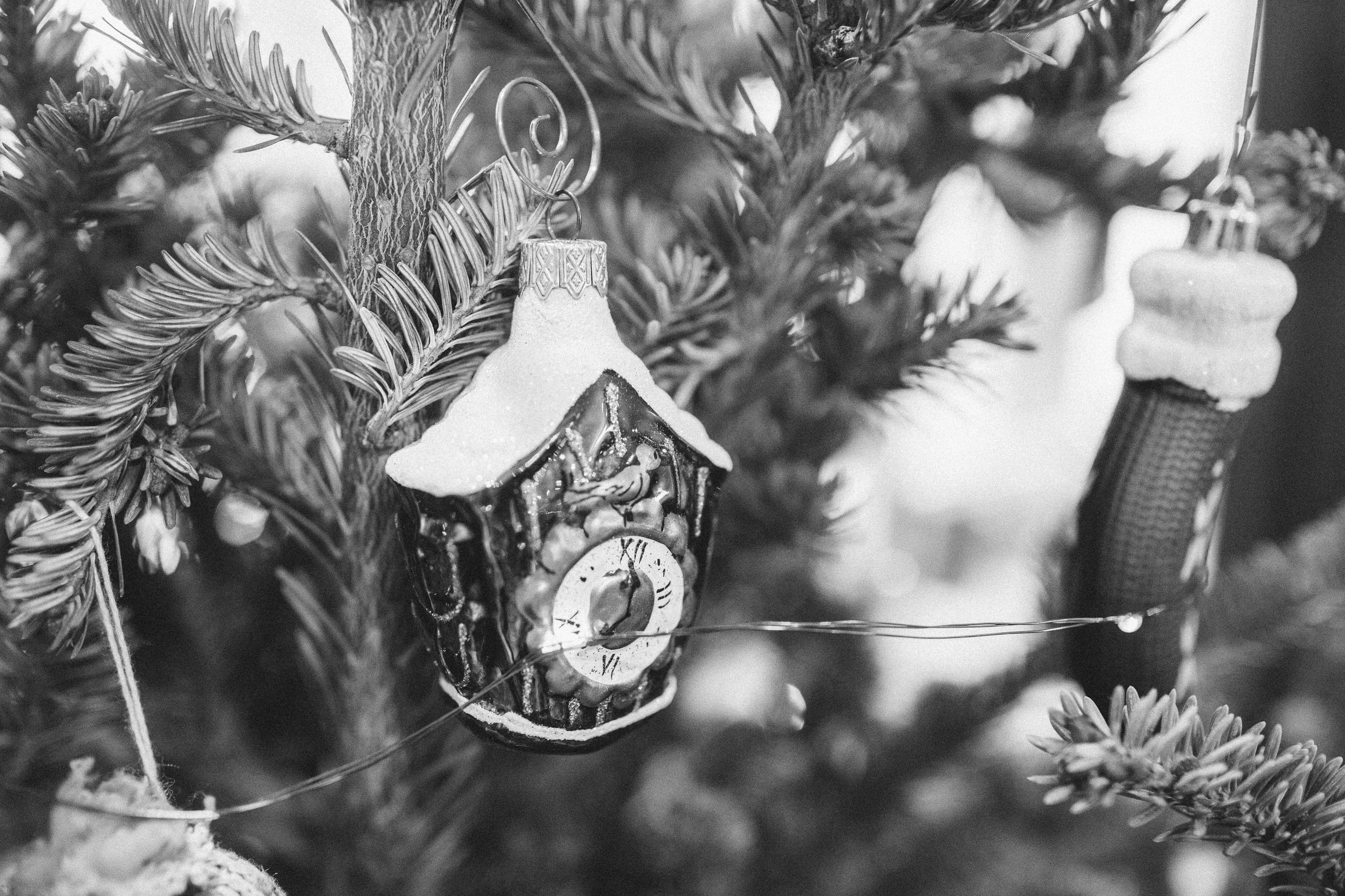 Семейные. Фотограф новорождённых Ярославль. Детский и семейный фотограф Анна Салова