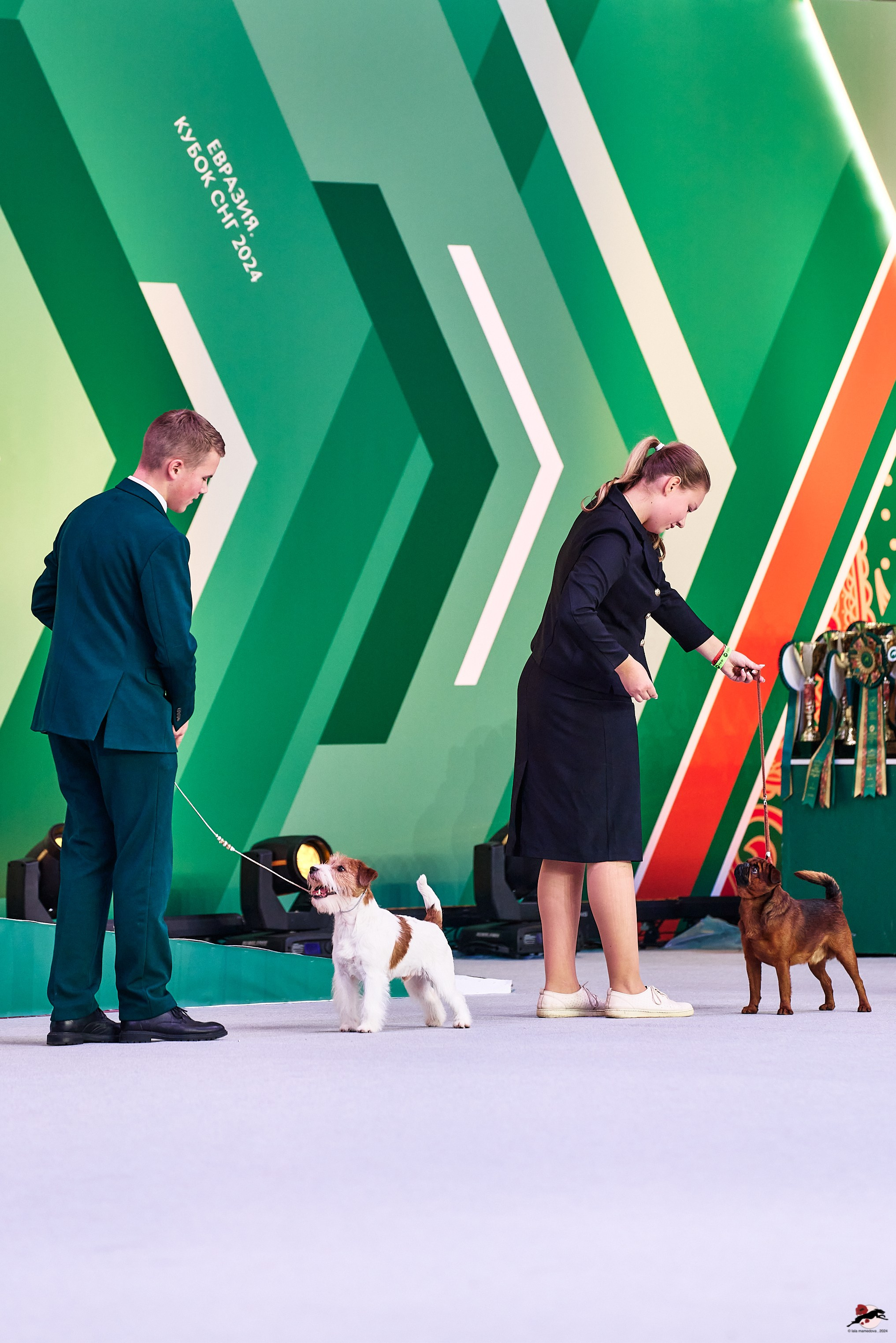 16.11.2024 «ЕВРАЗИЯ. КУБОК ПРЕЗИДЕНТА РКФ 2024»