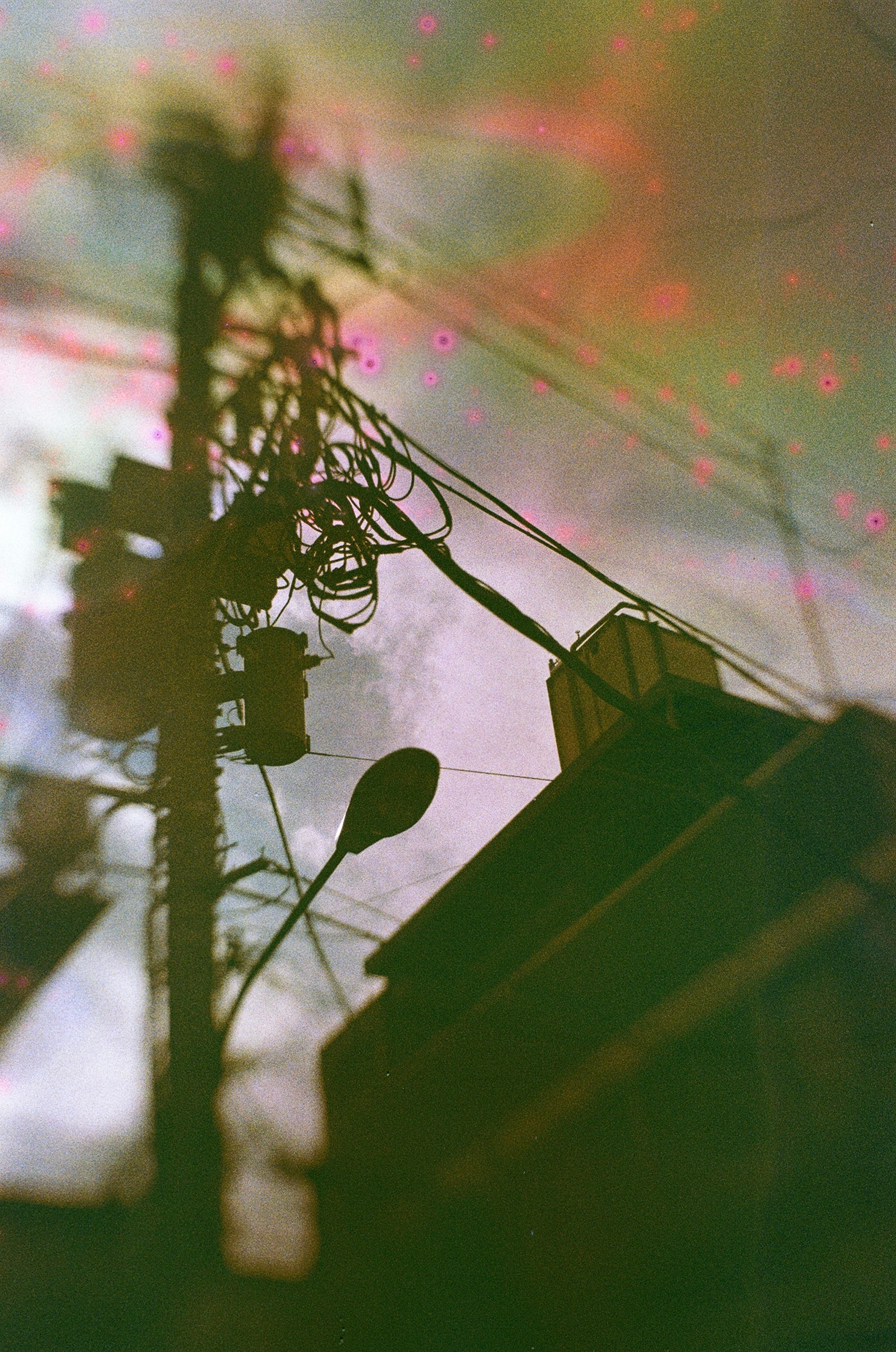 JAPAN FILM. International visual artist