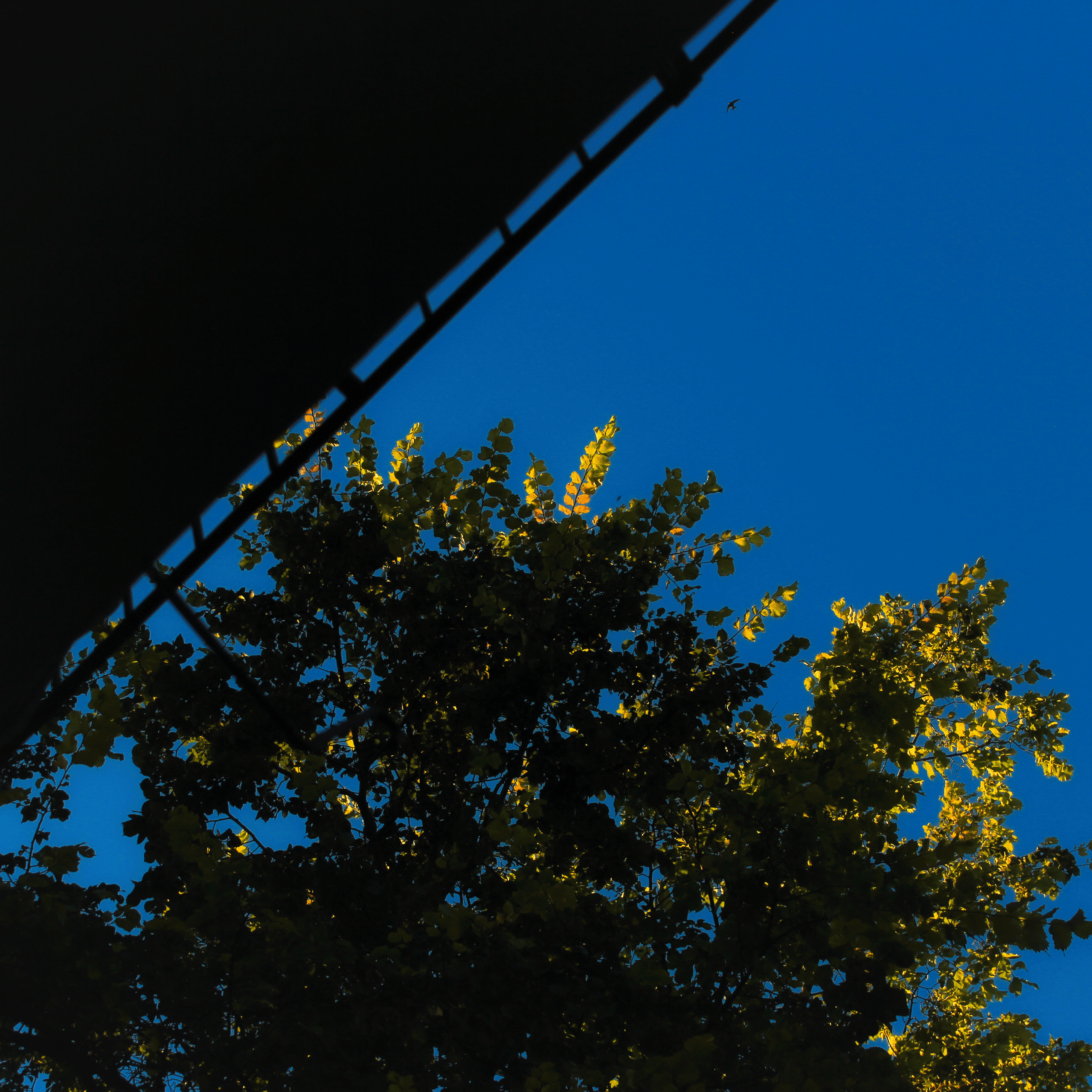 Summertime. Фотограф/дизайнер в Екатеринбурге Хитрый Дмитрий