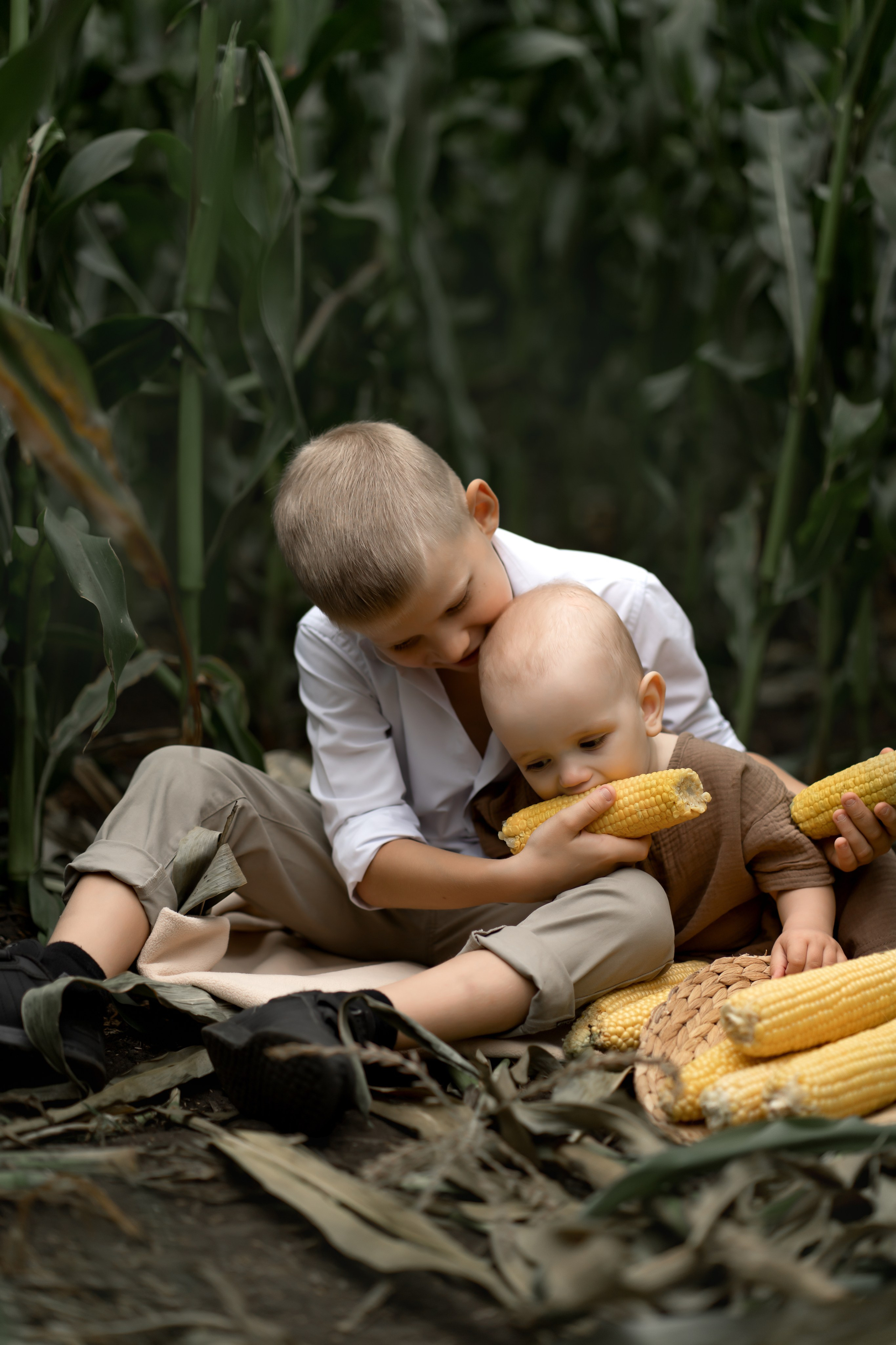Прогулка в кукурузе. Фотограф в Красноярске. Юлия Чаушанская