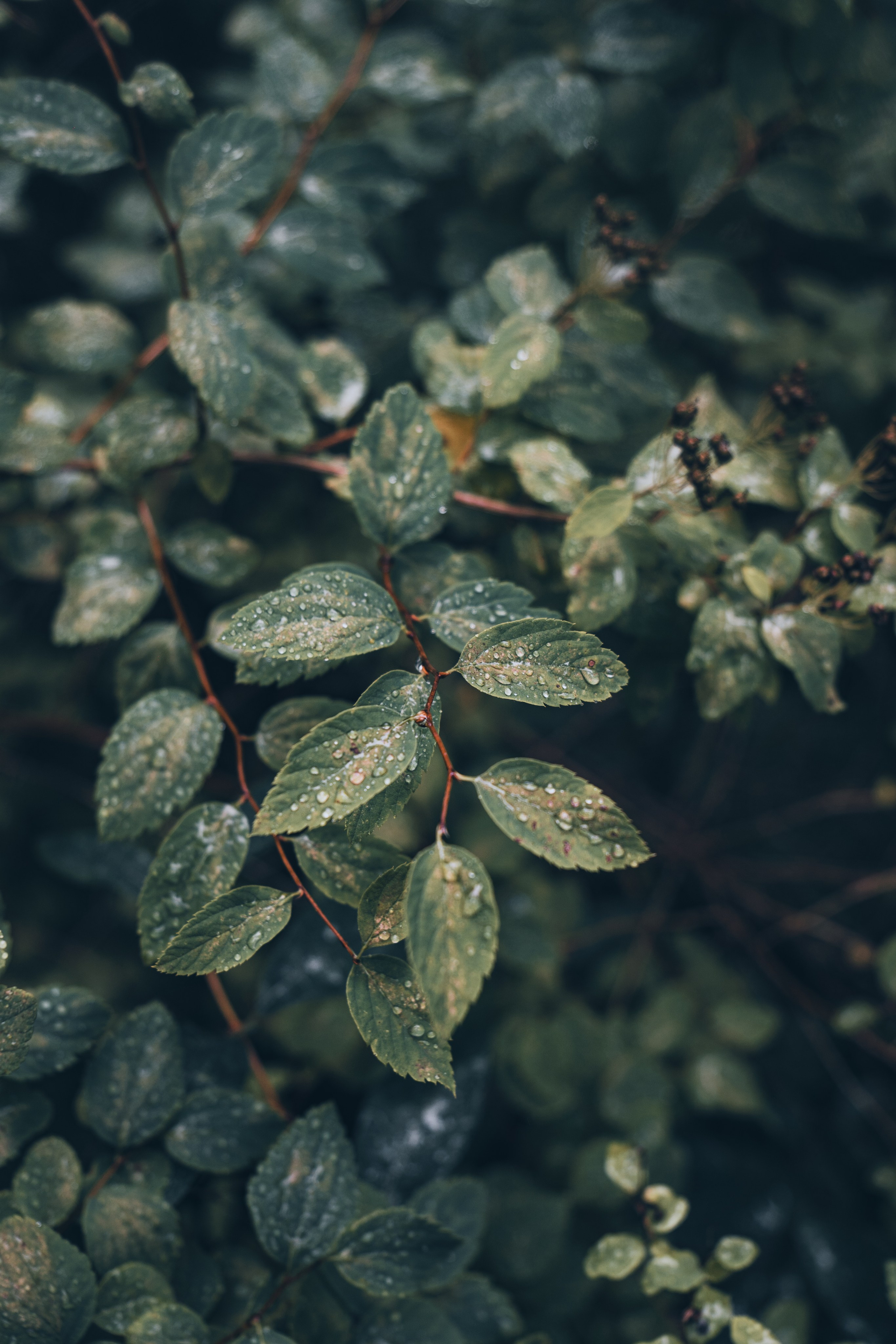 Travel фотография. Gusarov Travel Photography